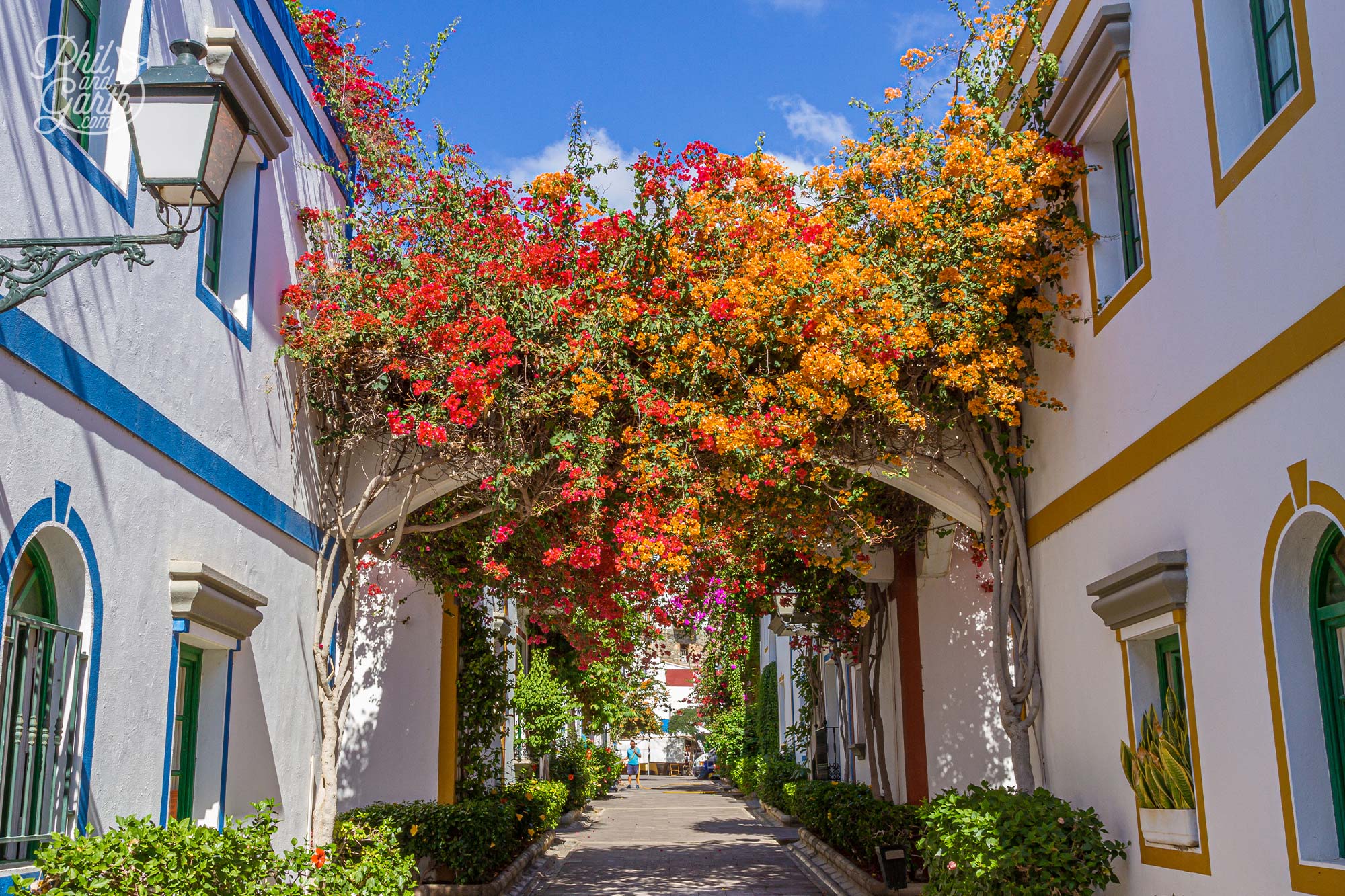 Gorgeous bougainvillea flowers create some welcome shady spots