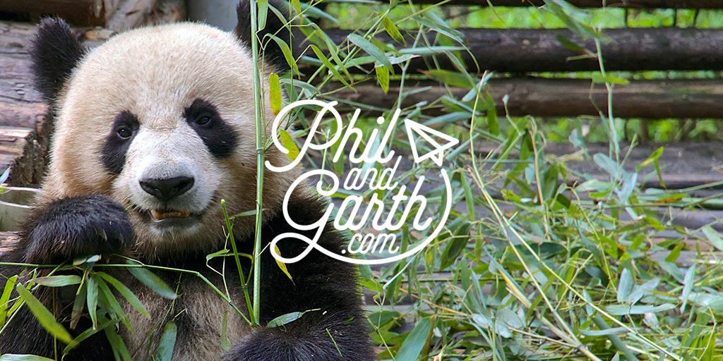 Chengdu Attractions - 5 Best Things To Do In 1 Day - Phil and Garth