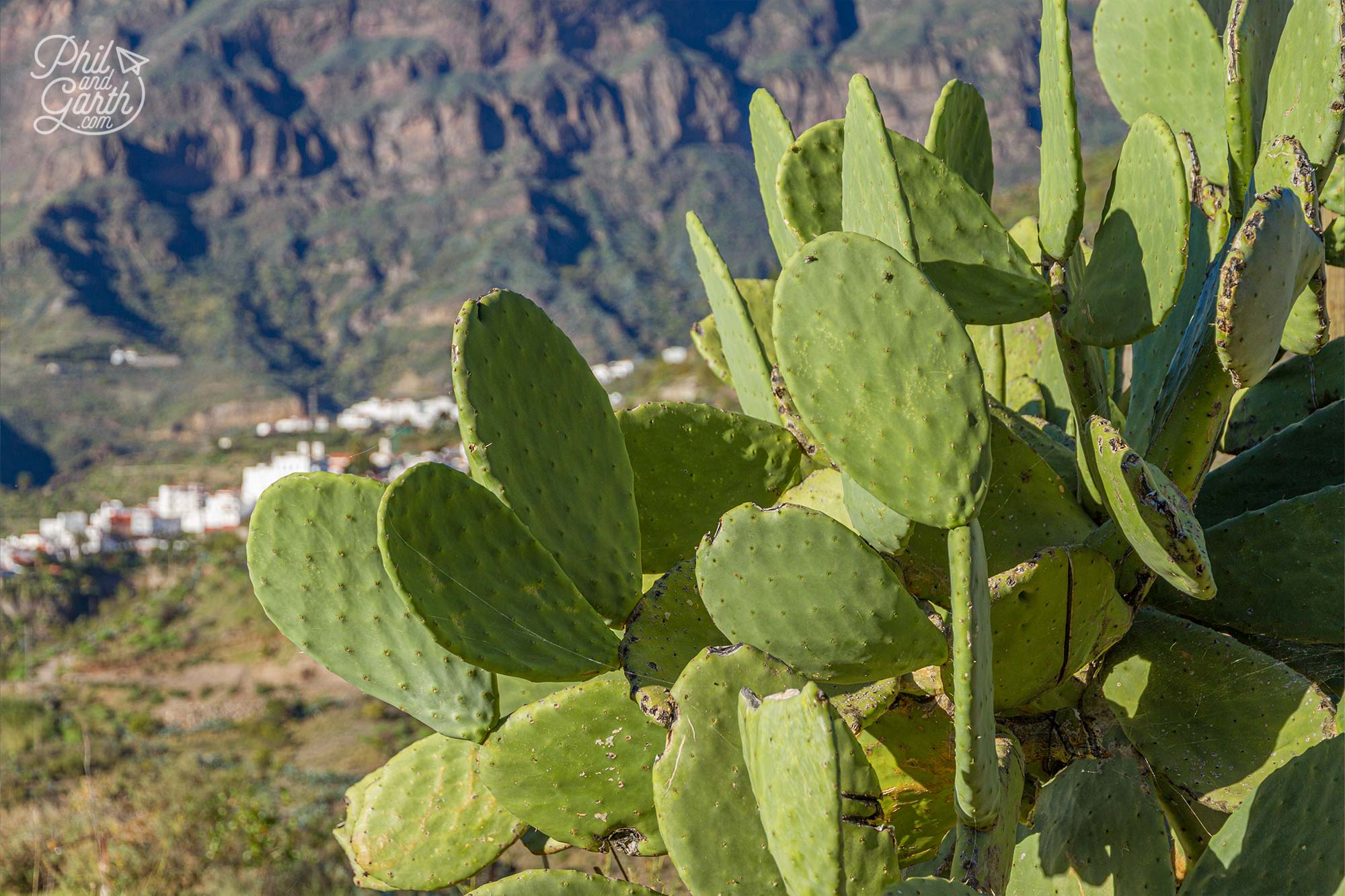 Tejeda is at the lush and tropical centre of Gran Canaria