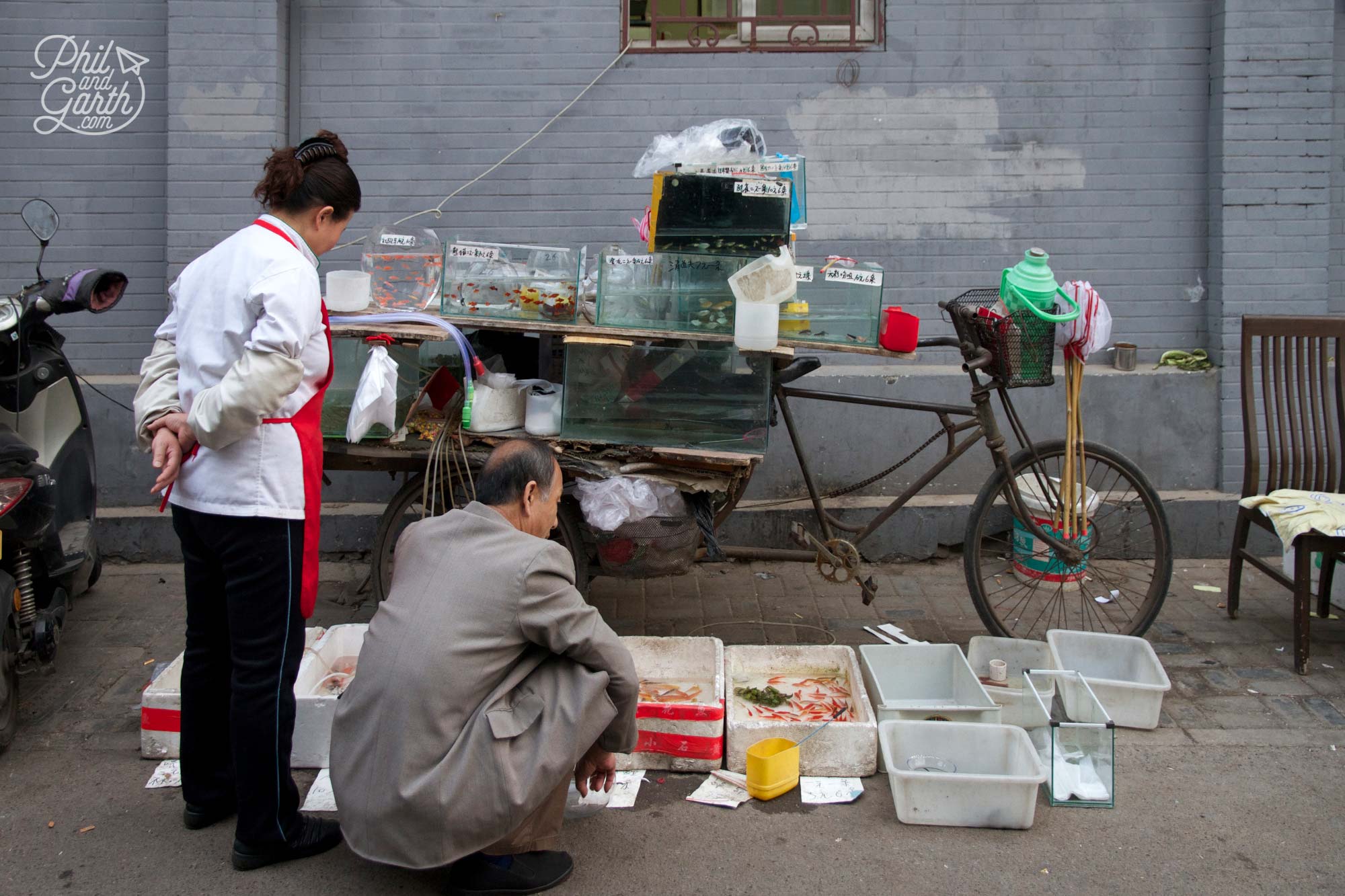 This lady selling goldfish on the streets