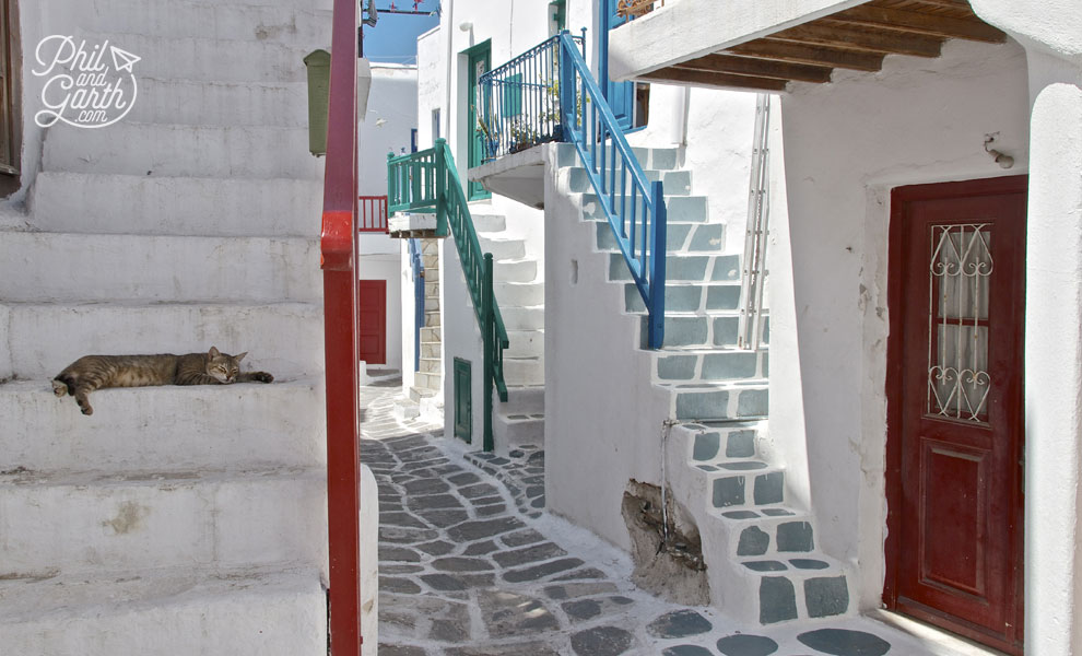 A lazy cat in Mykonos Town