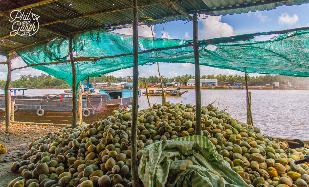 Piles of coconuts waiting to be sold on