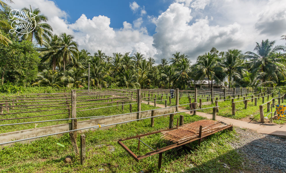 Racks outside where the rice paper is dried in the sunshine