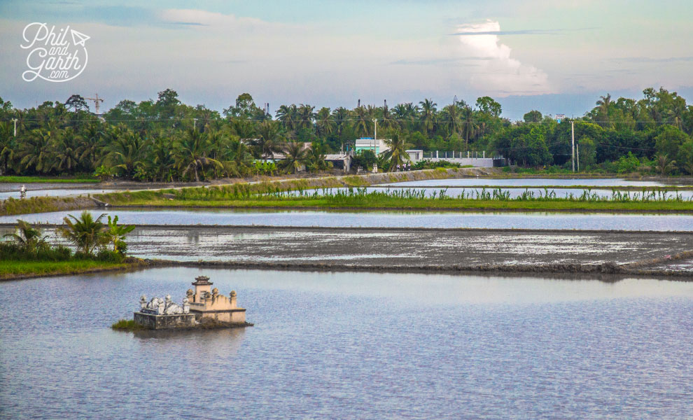 Graves in the middle of rice fields