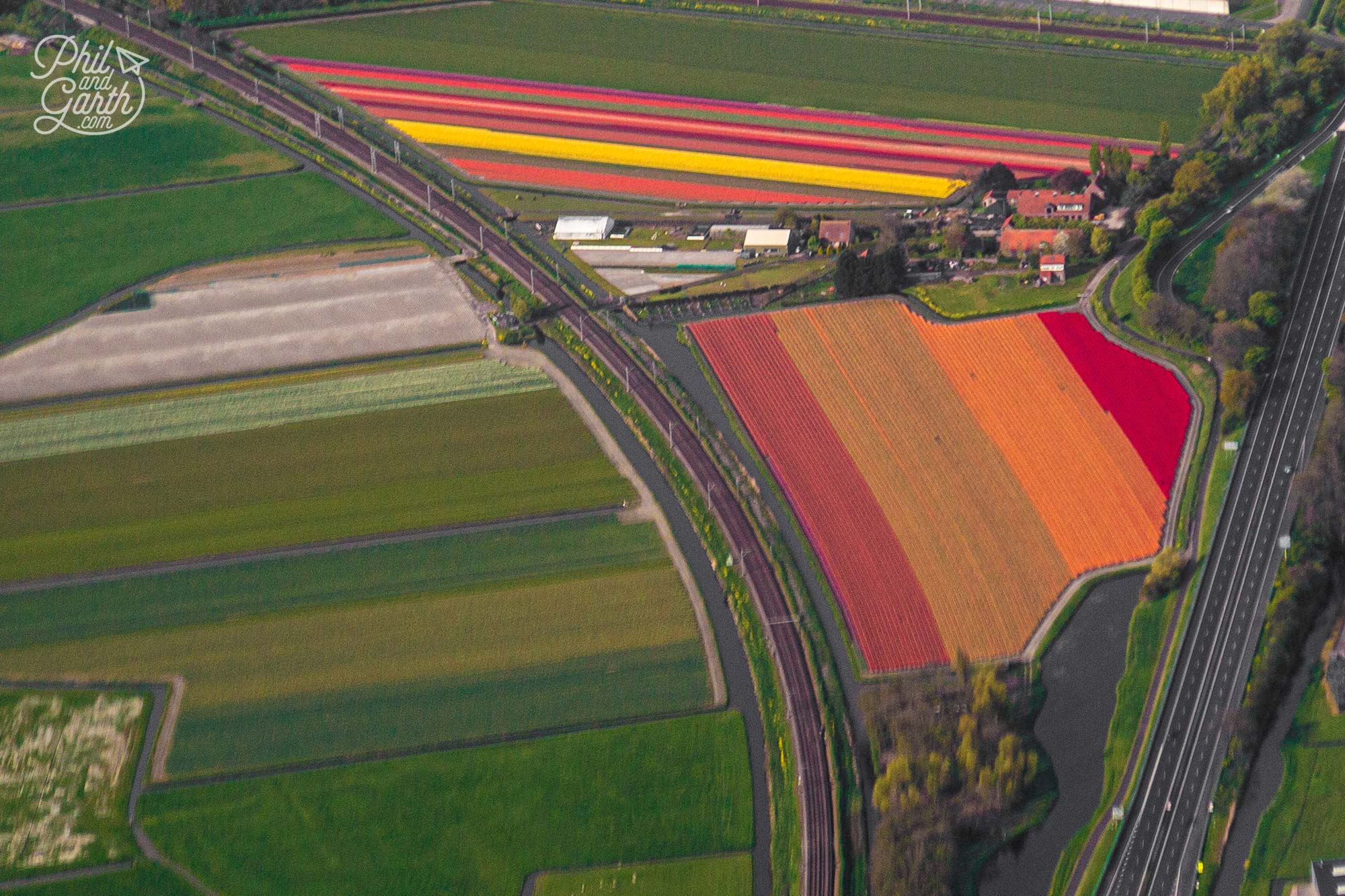 Flying over some tulip fields on our approach to Amsterdam