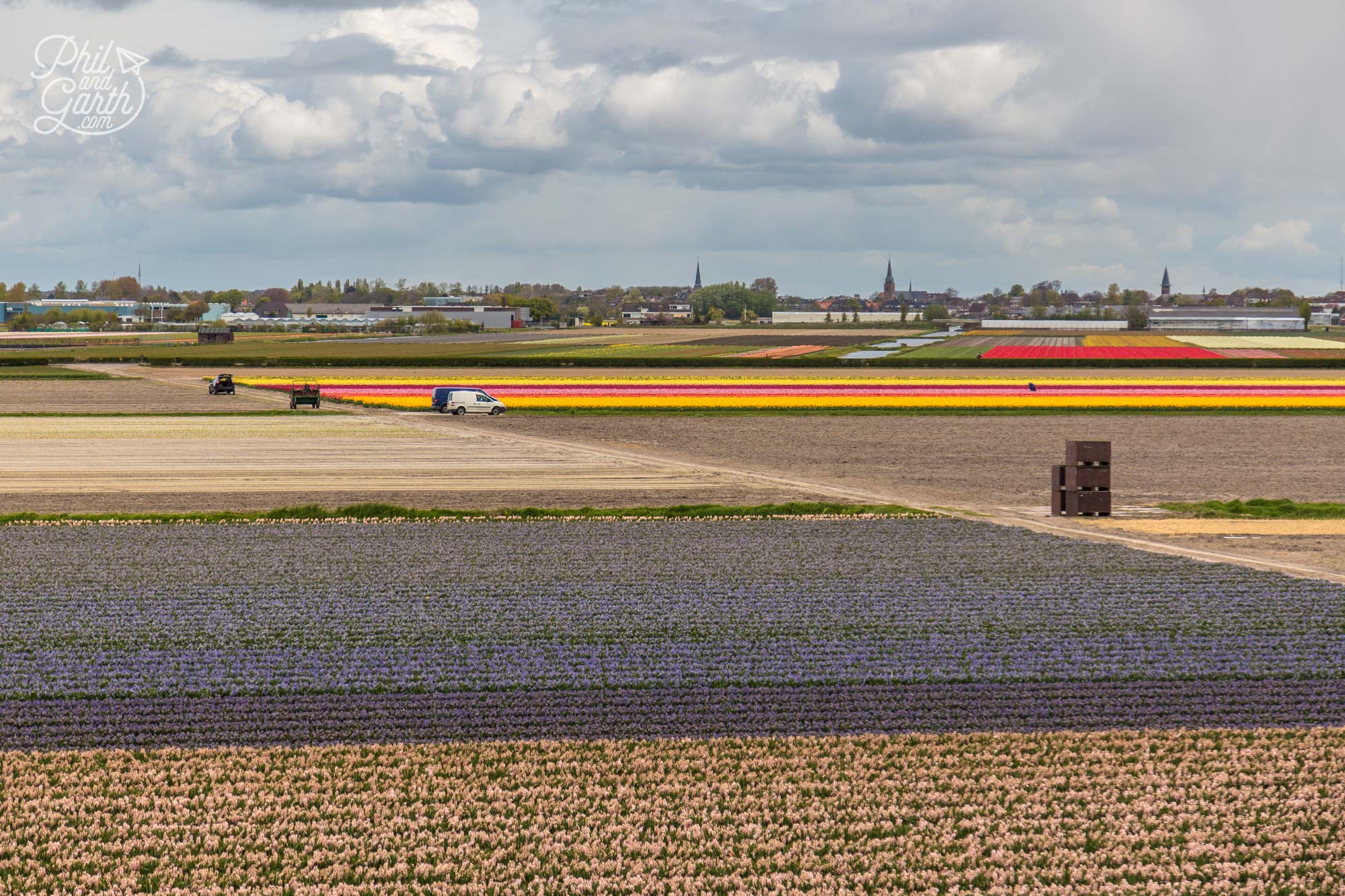 View of the flower and tulip fields from the top of the Keukenhof windmill