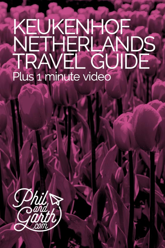 Keukenhof, Netherlands travel guide and video in 60 seconds