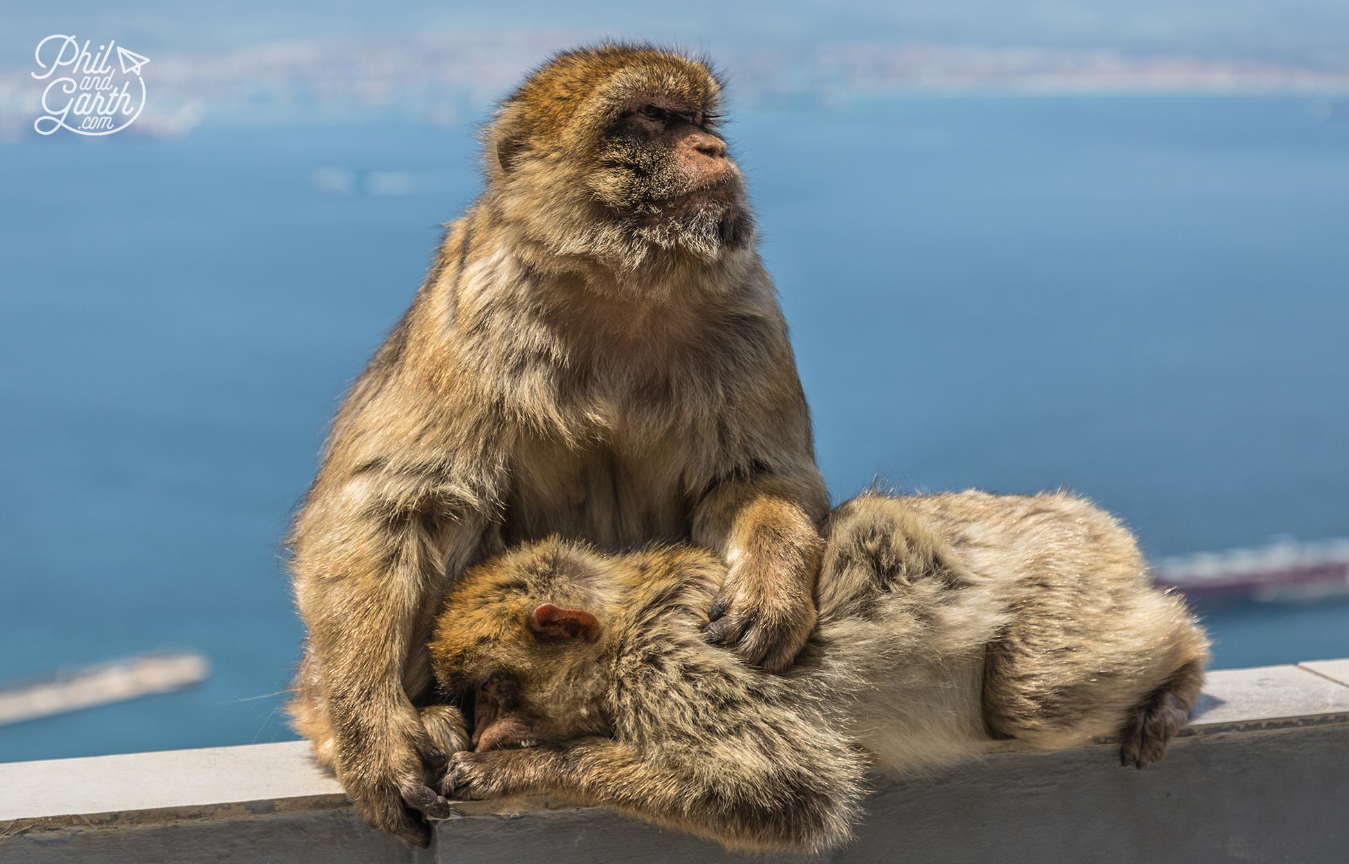 A mother and son