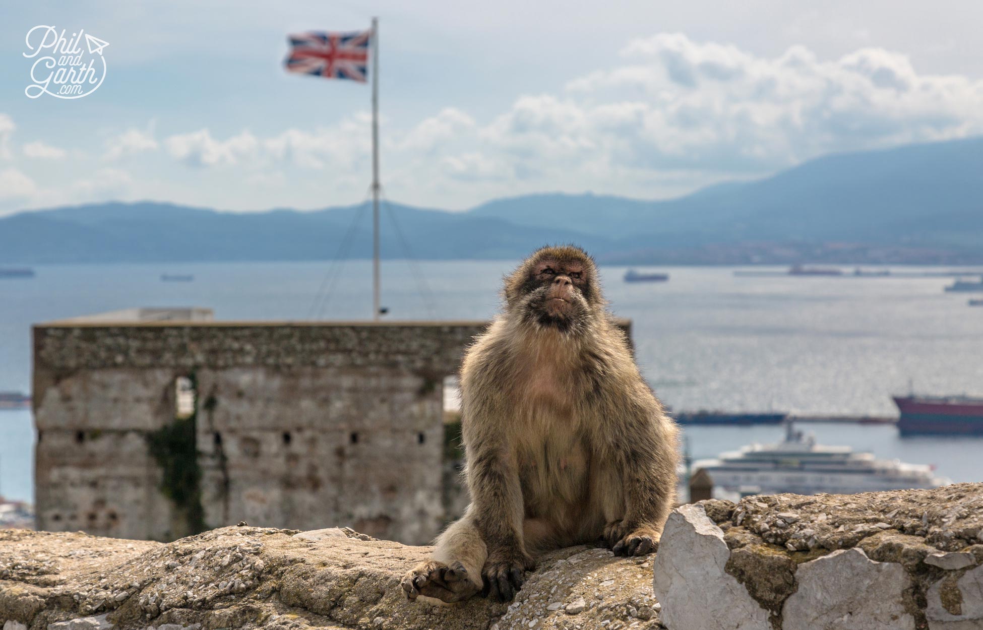 A barbary macaque sunning himself next to the castle