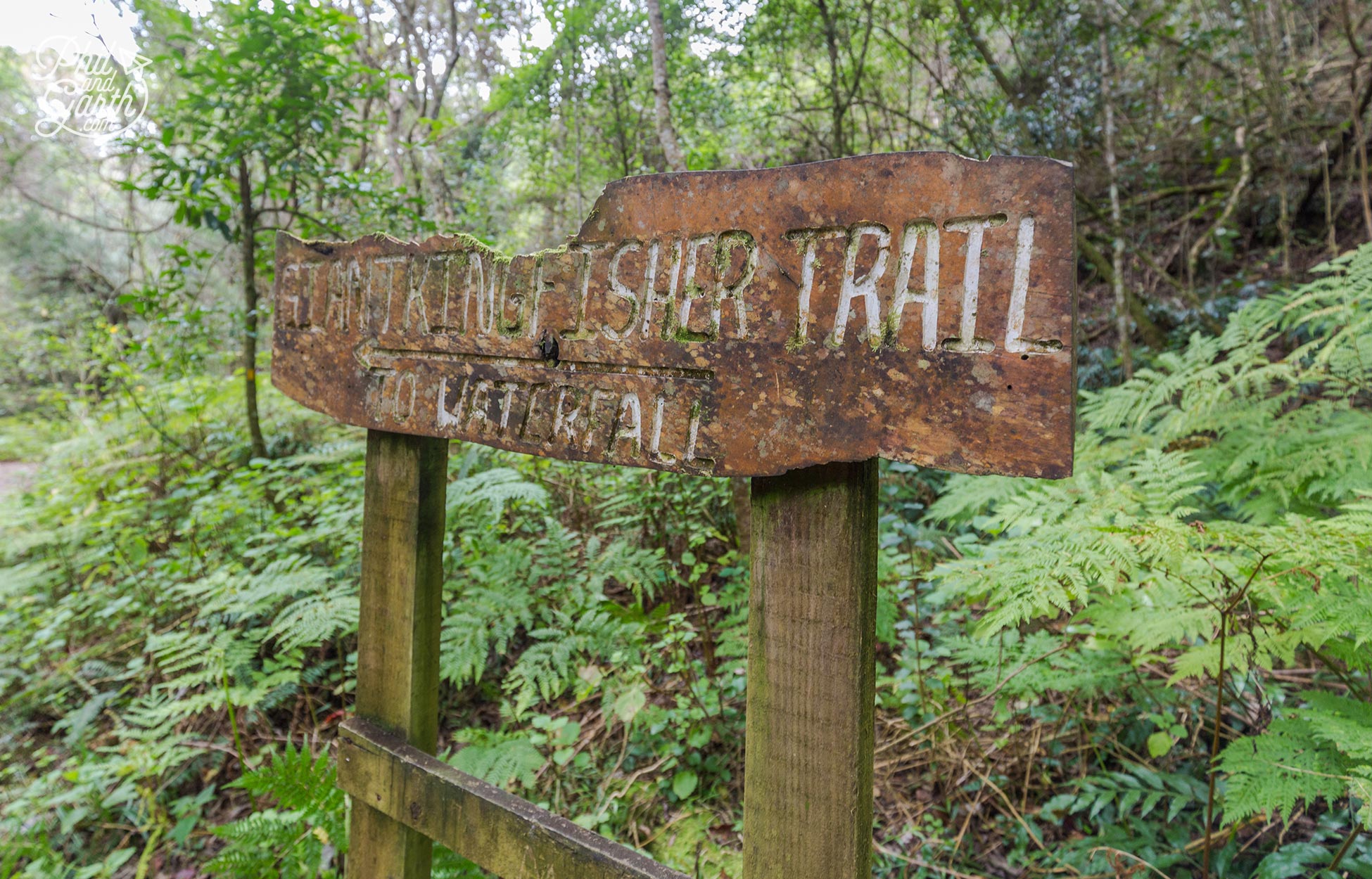 Giant Kingfisher Trail sign points us to the waterfall