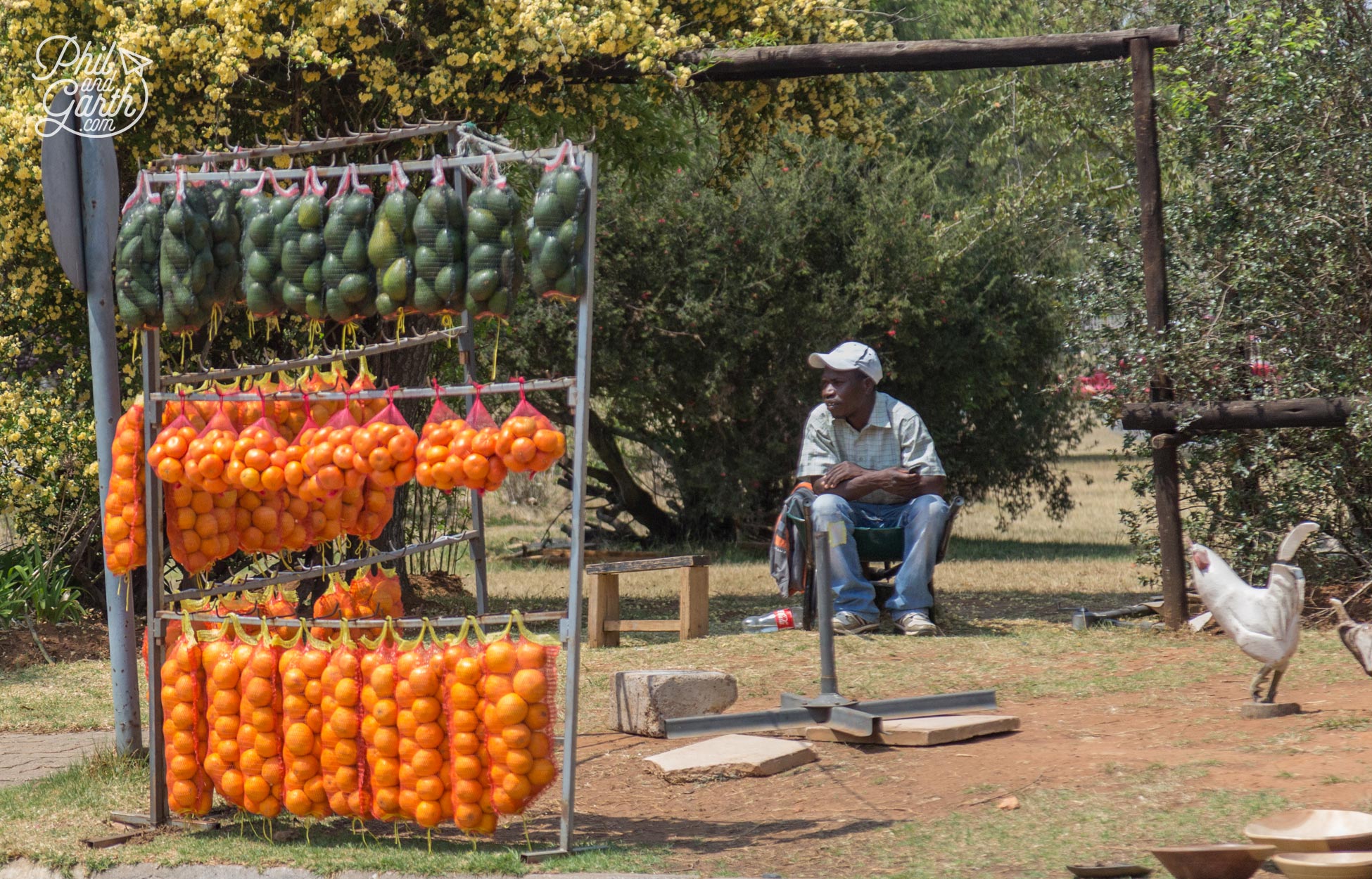 Oranges and avocados for sale