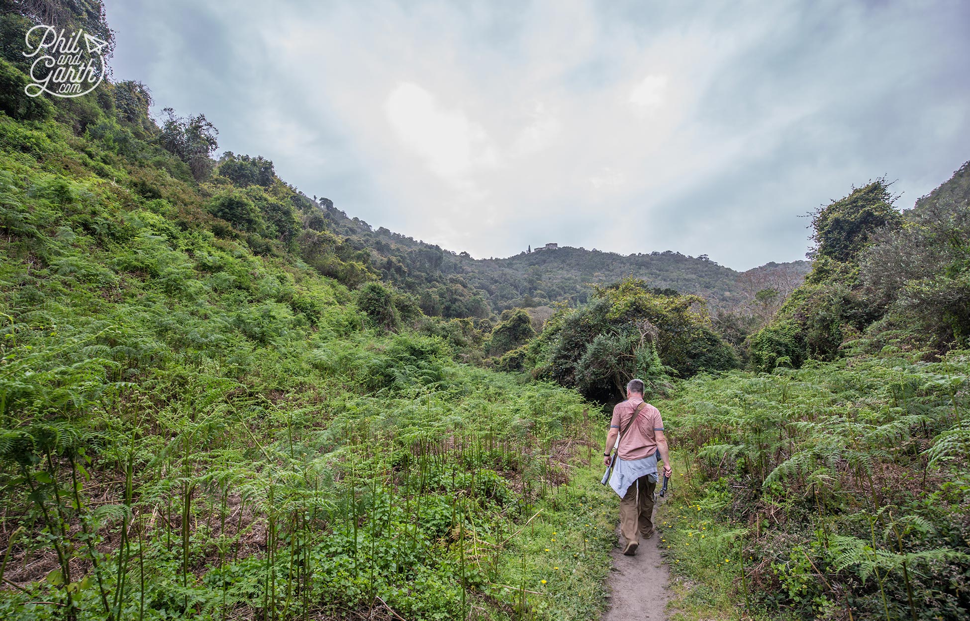 Phil walking through a fern lined path