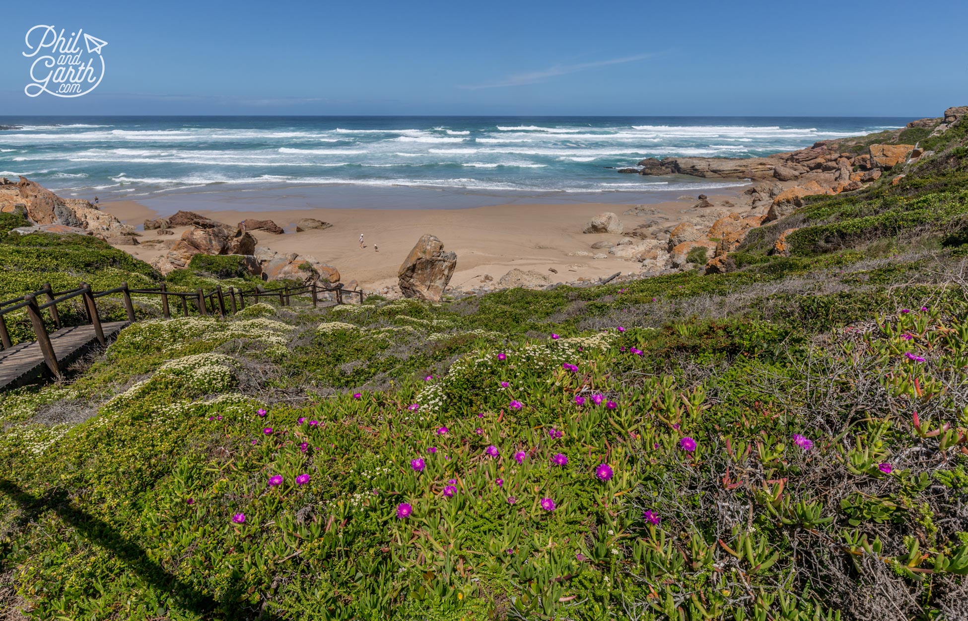 The Garden Route - Wildflowers at Robberg Nature Reserve in Spring (September-December)