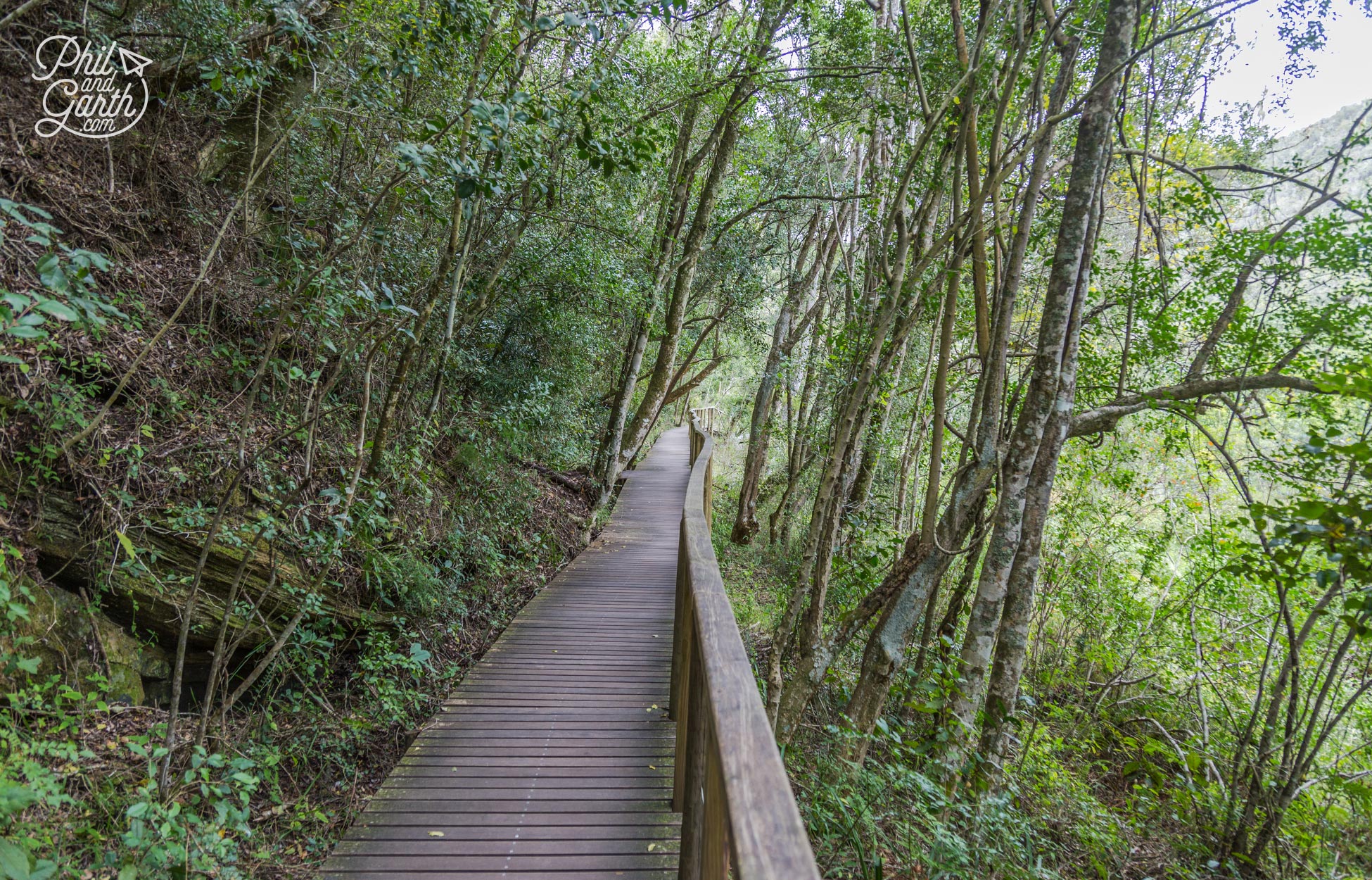 Long stretches of elevated walkways guide you to the waterfall