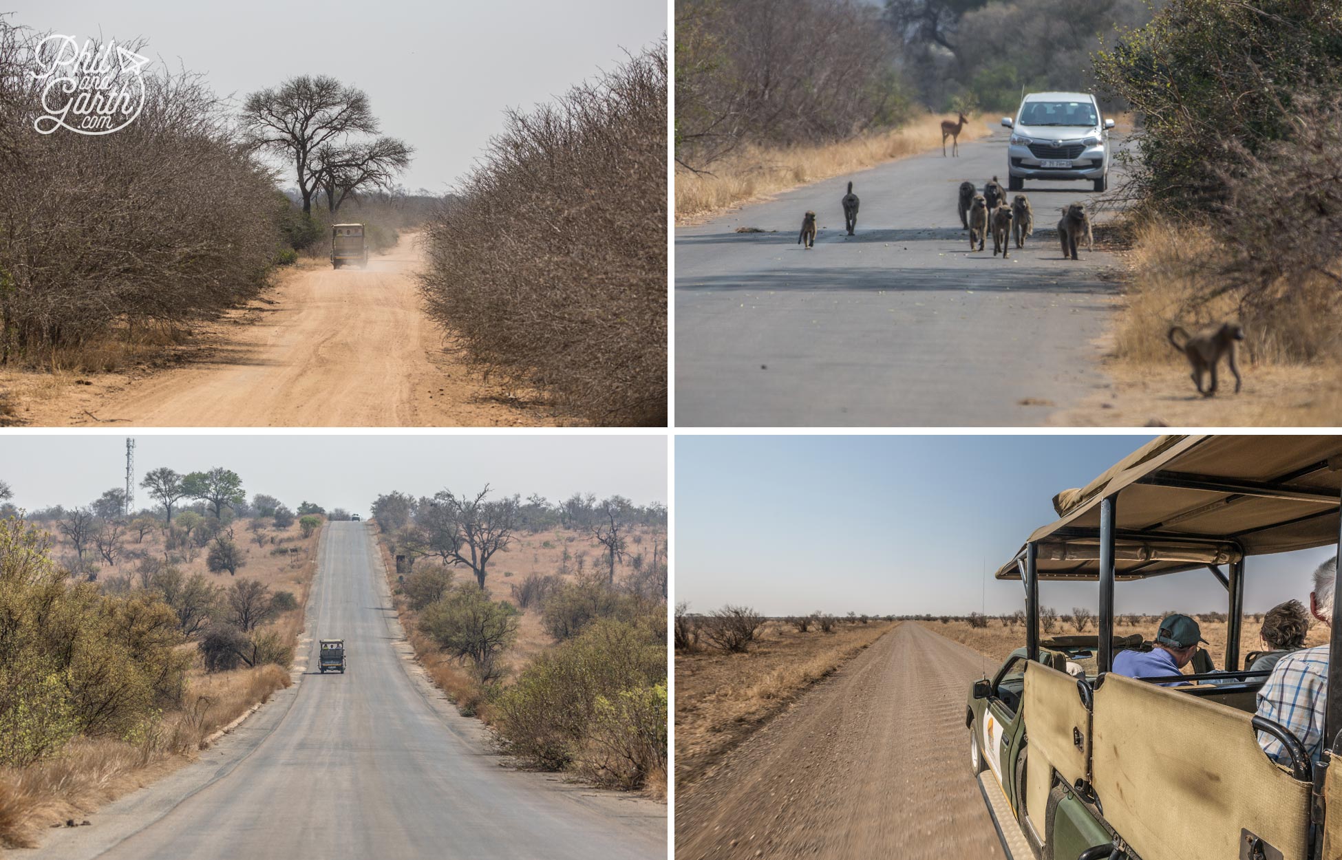 The different types of roads in Kruger National Park