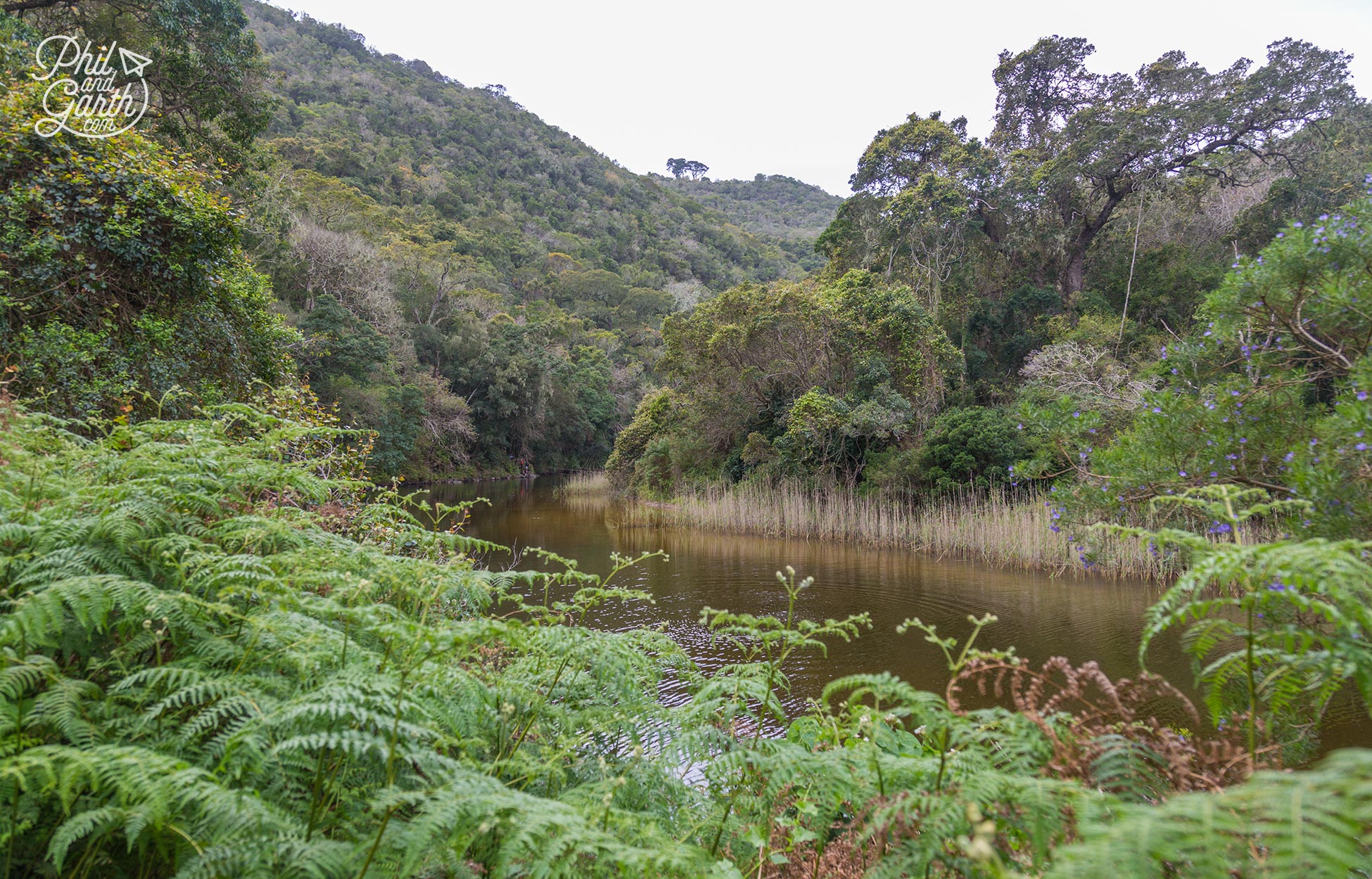 The Garden Route - Wilderness National Park