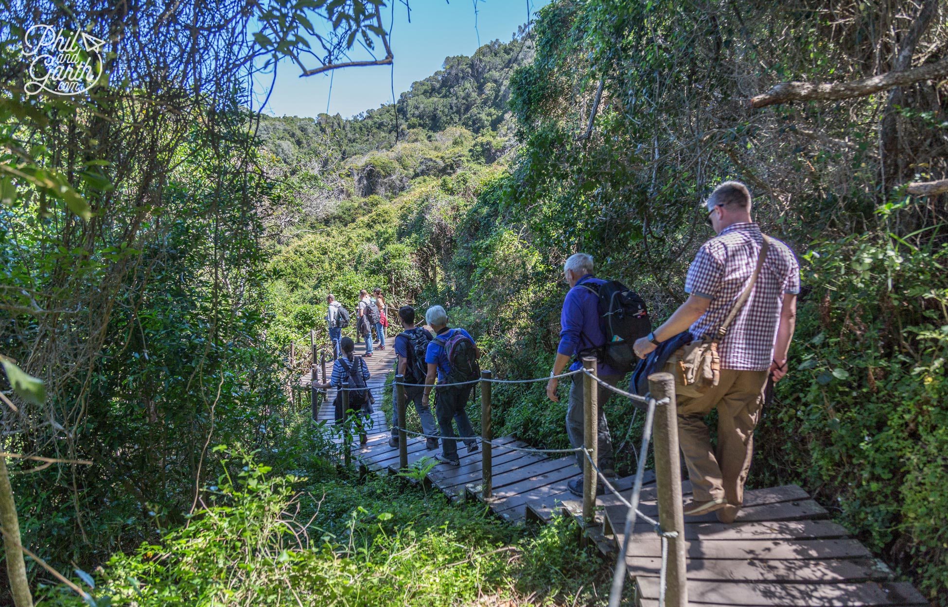 Boardwalks guide you through the park