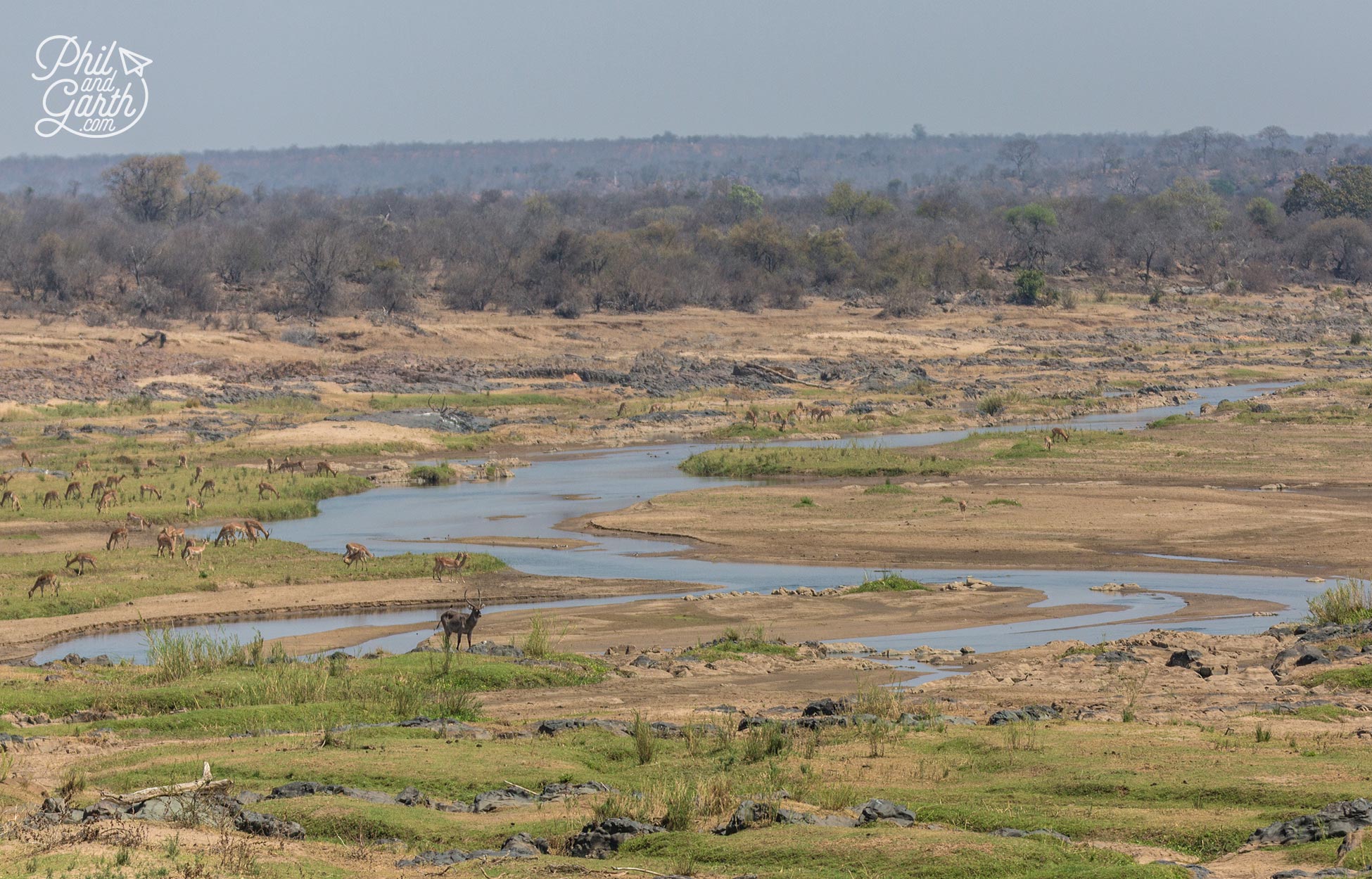 We looked out from a bridge over this dry river bed attracting loads of animals for a drink