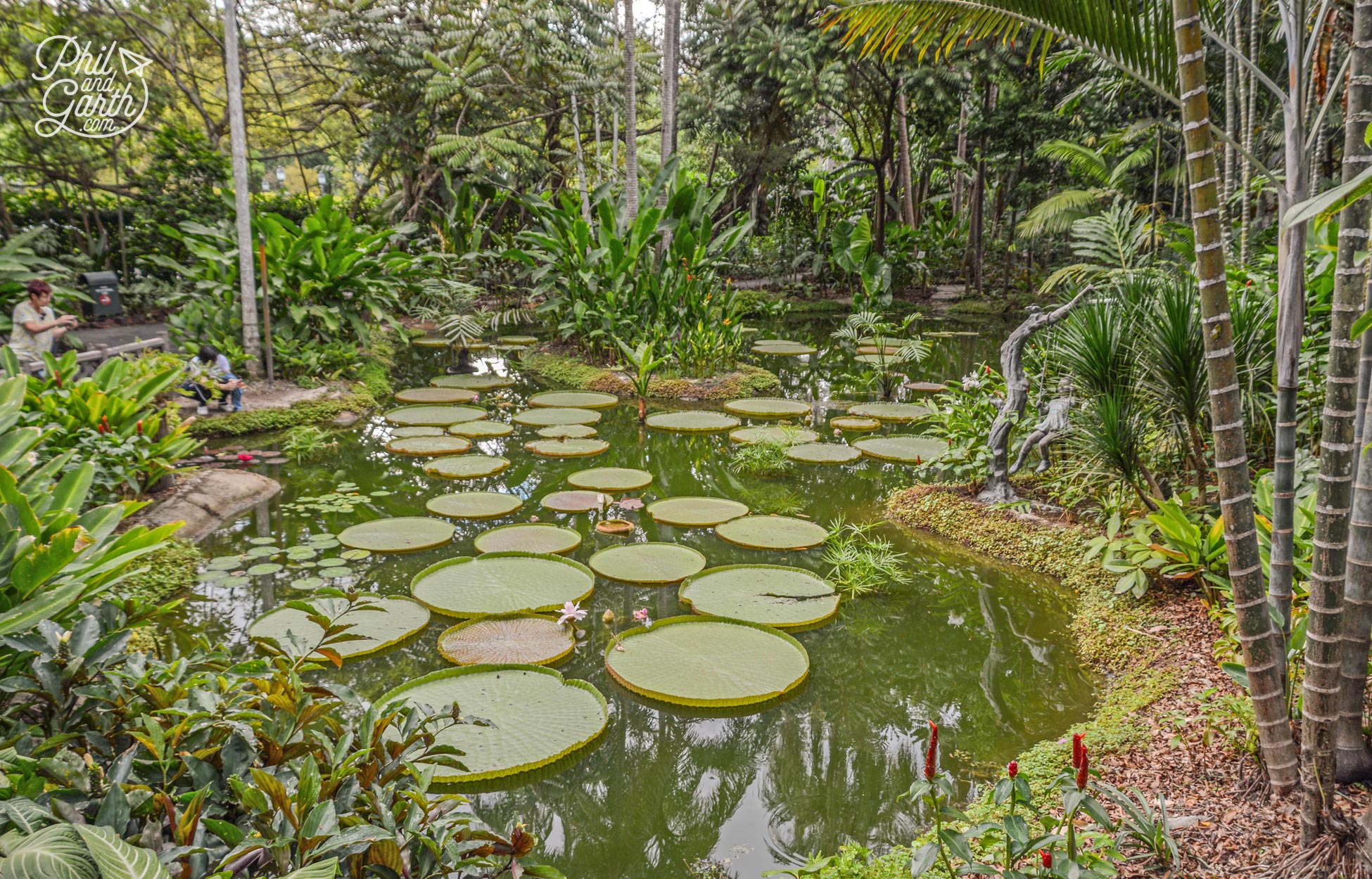 Singapore Botanic Gardens - A UNESCO World Heritage Site