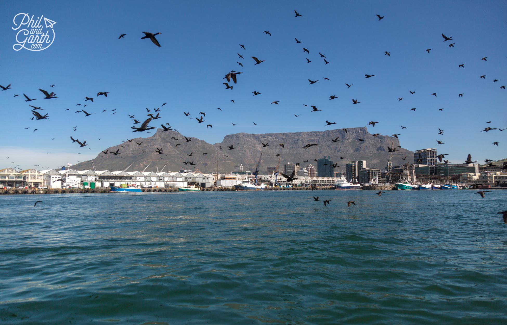 Cruising the harbour waters, perfect photos of Table Mountain