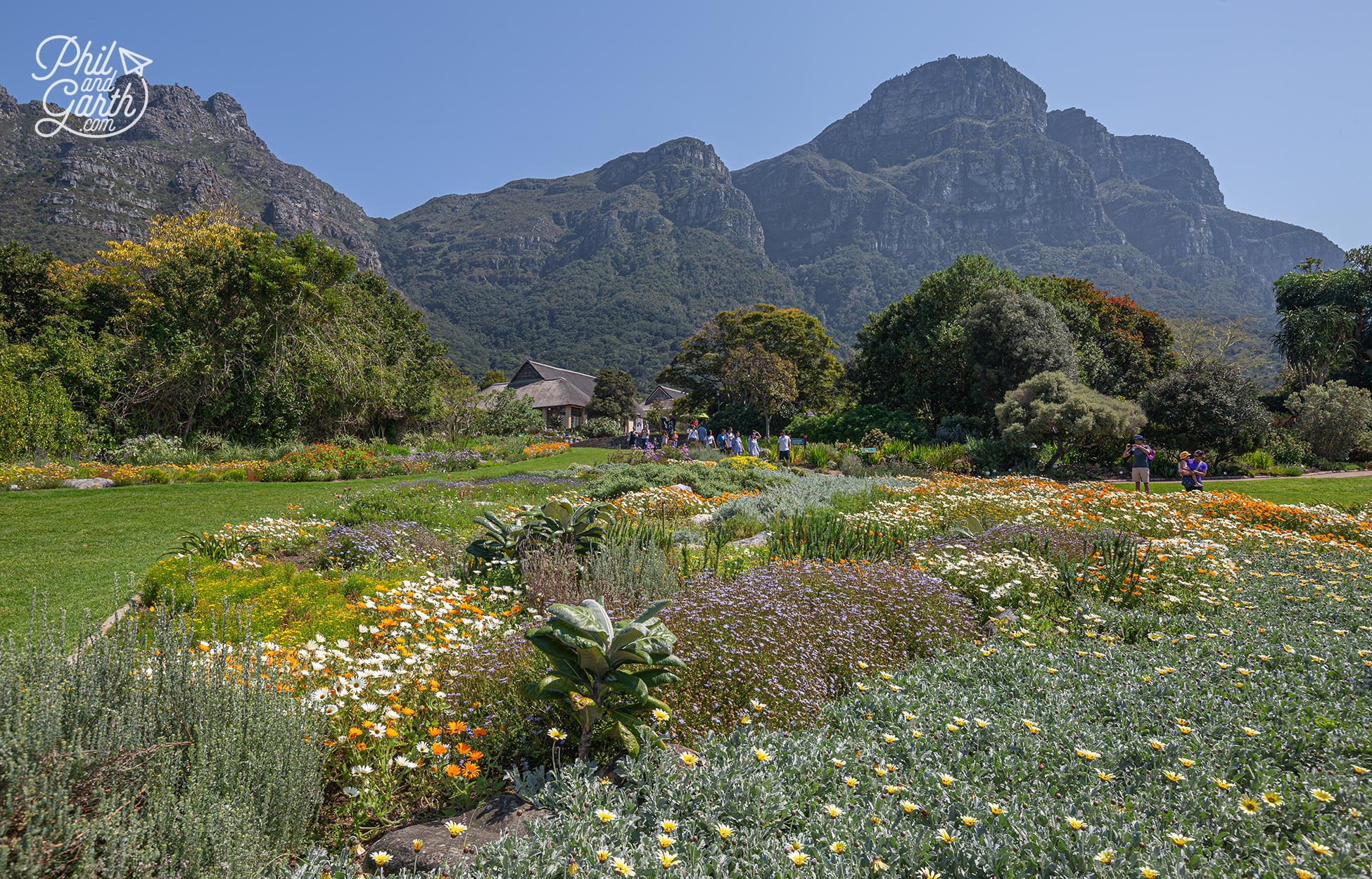 Kirstenbosch National Botanical Garden