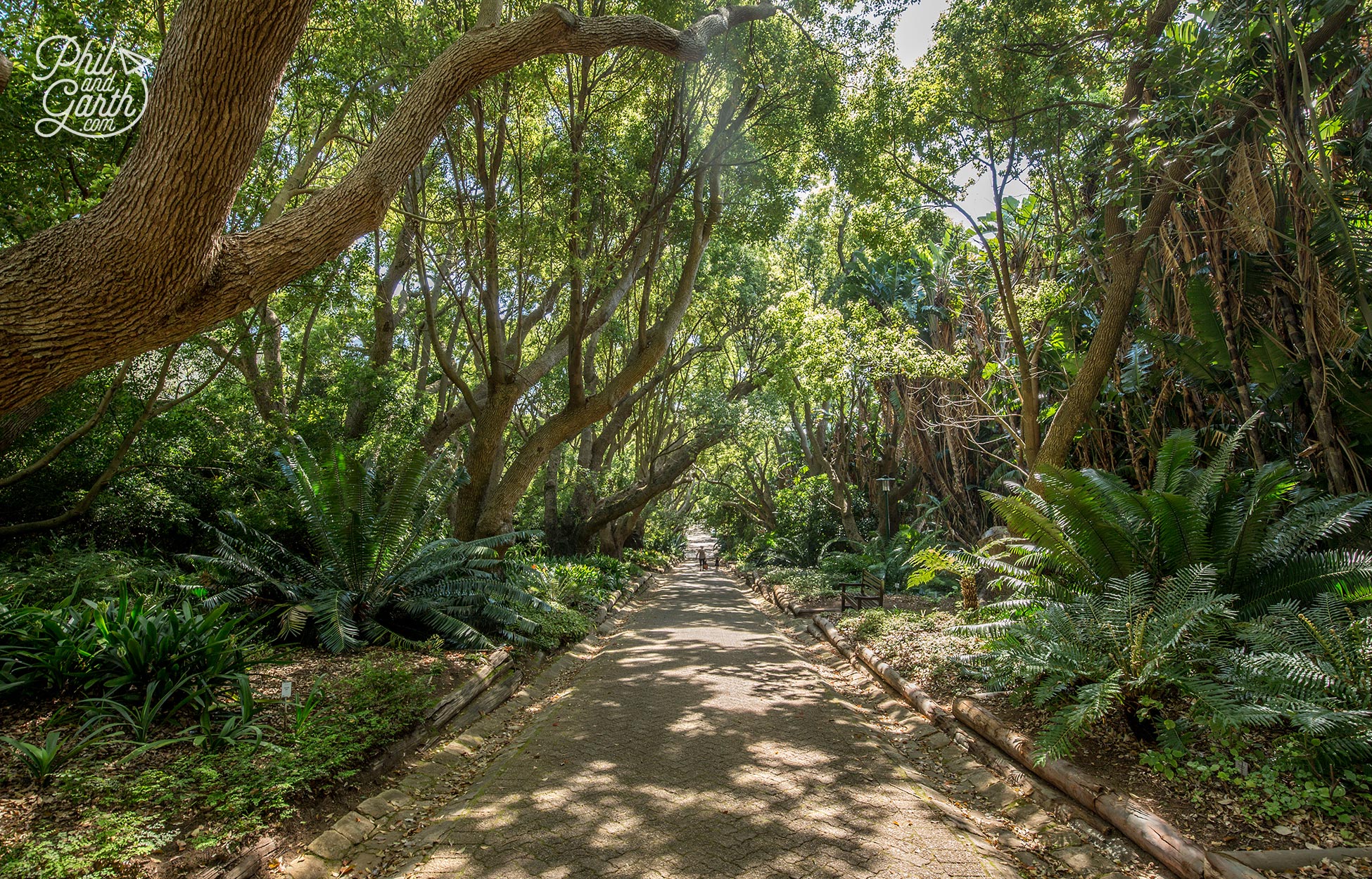 Kirstenbosch is a great place to spend a few hours