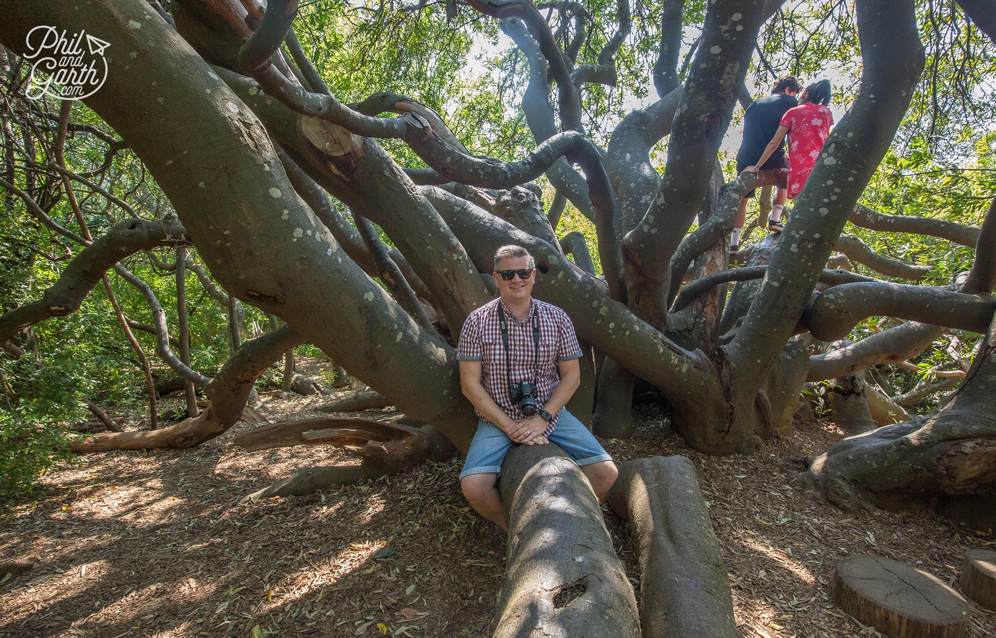 Phil sat on a branch of the wild almond tree which became a symbol of Apartheid