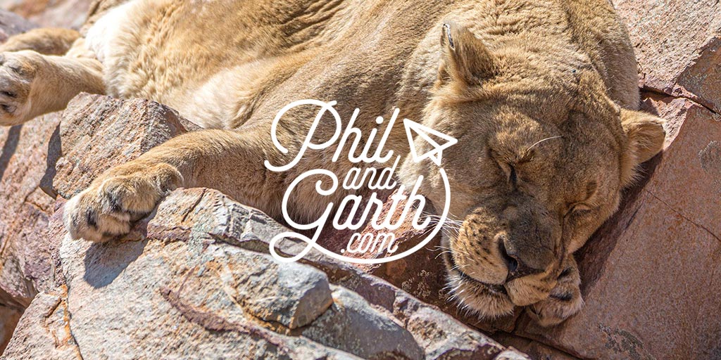 Big 5 Game Reserve Near Cape Town, South Africa Phil and Garth