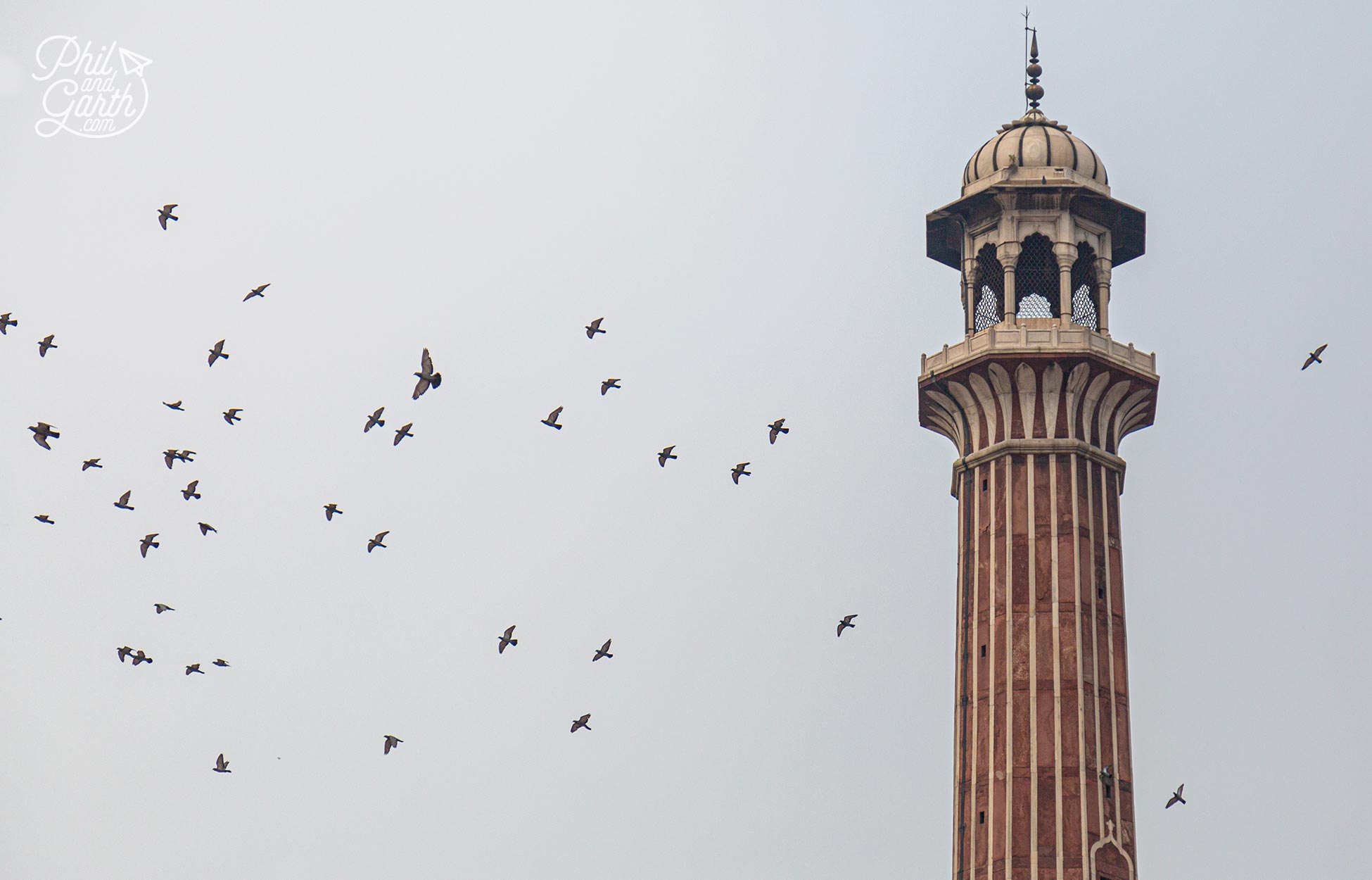 The hundreds of pigeons flying around make dramatic photographs