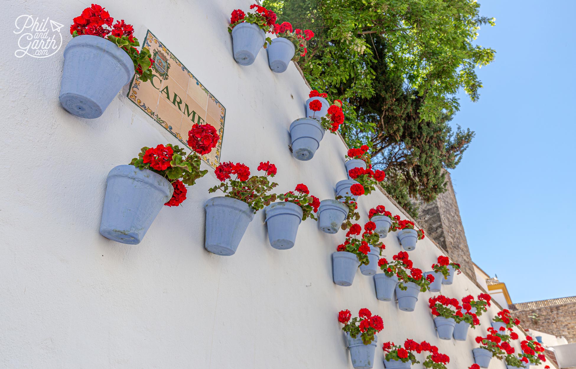 You'll find plenty of colourful flower pots decorating walls on small streets like 'Carmen'