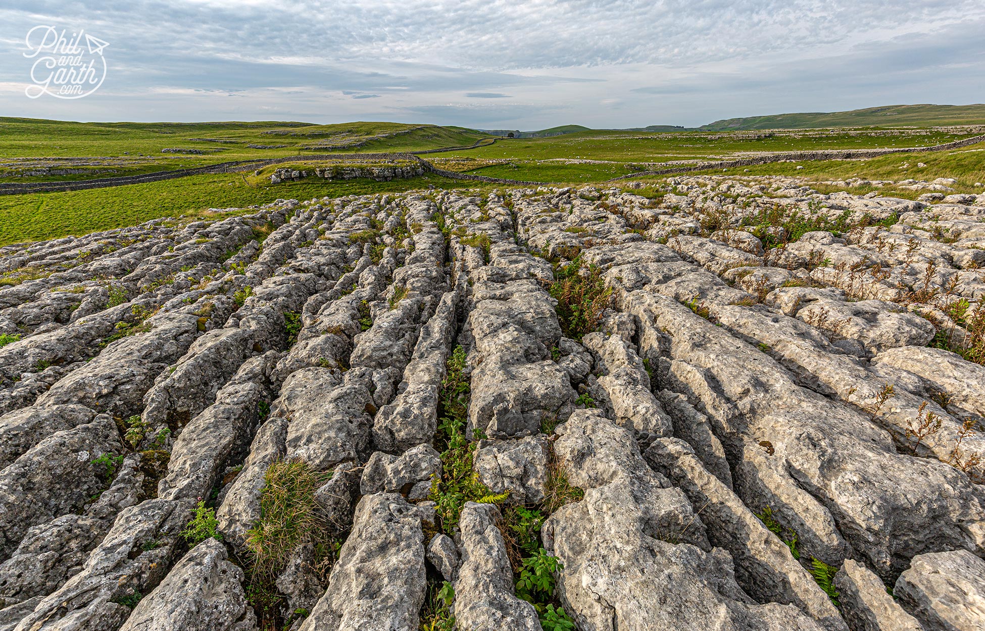 Limestone pavements are made up of clints (blocks) and grikes (fissures)