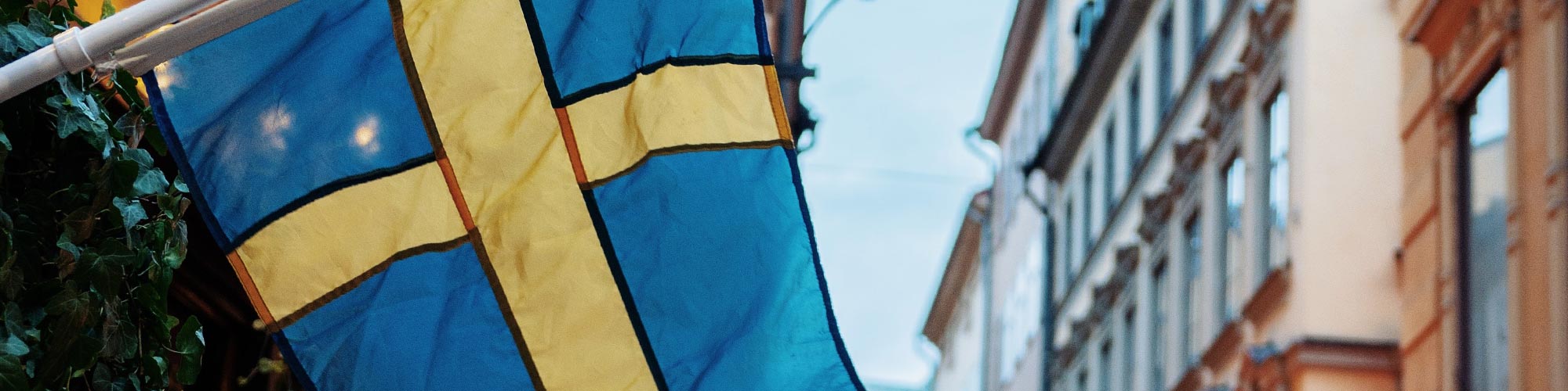 Sweden flag