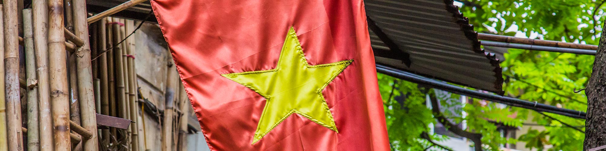 Vietnam flag