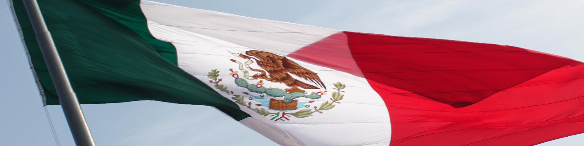 Mexico flag
