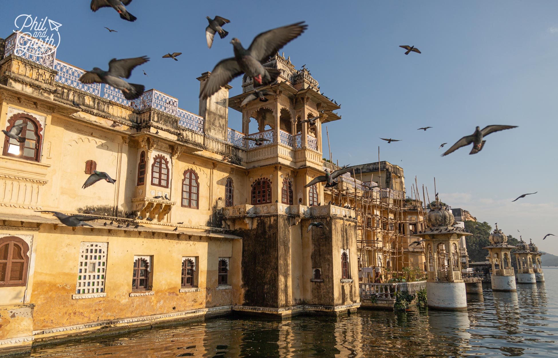 The pigeons at Gangaur Ghat make ace photos