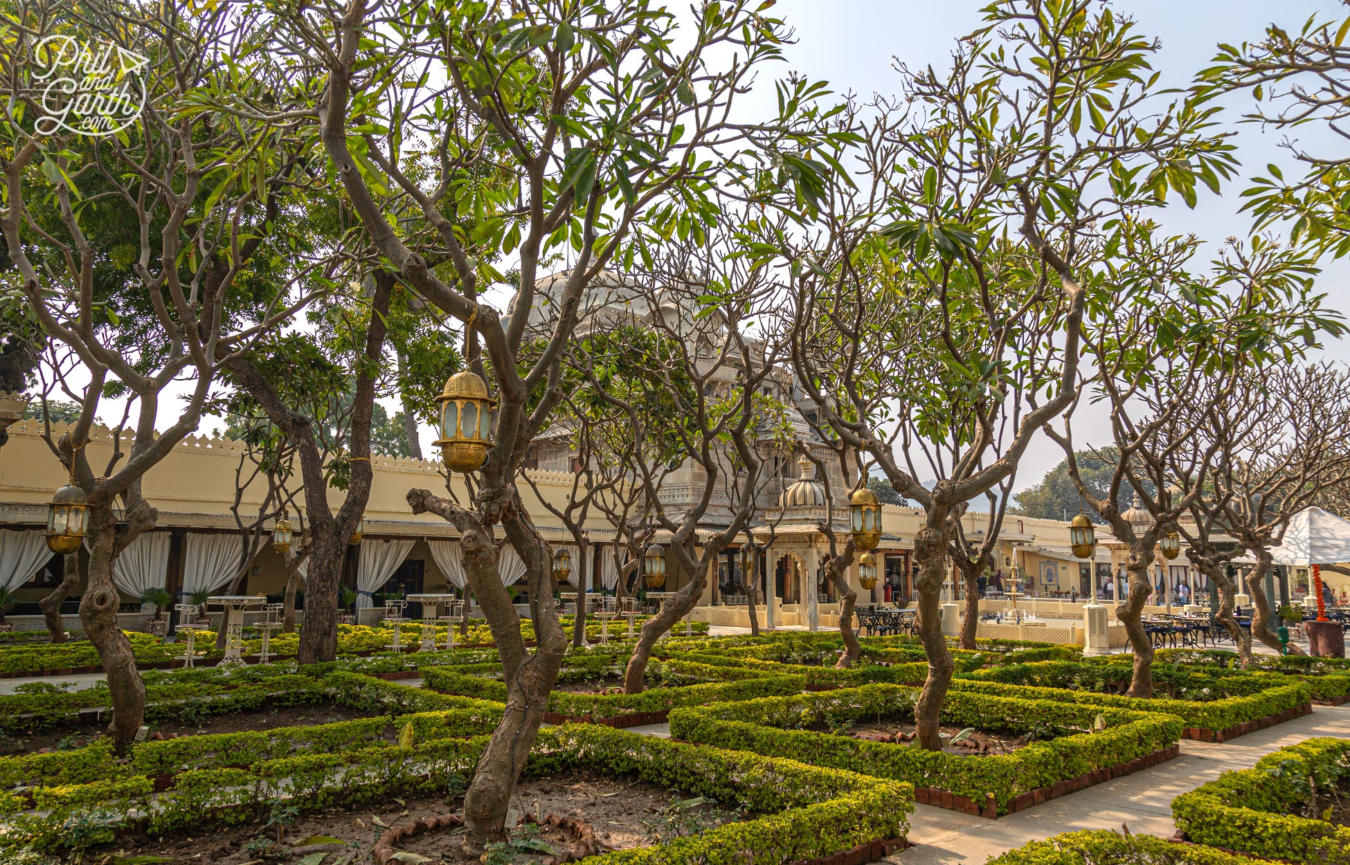 Frangipani trees decorated with lanterns