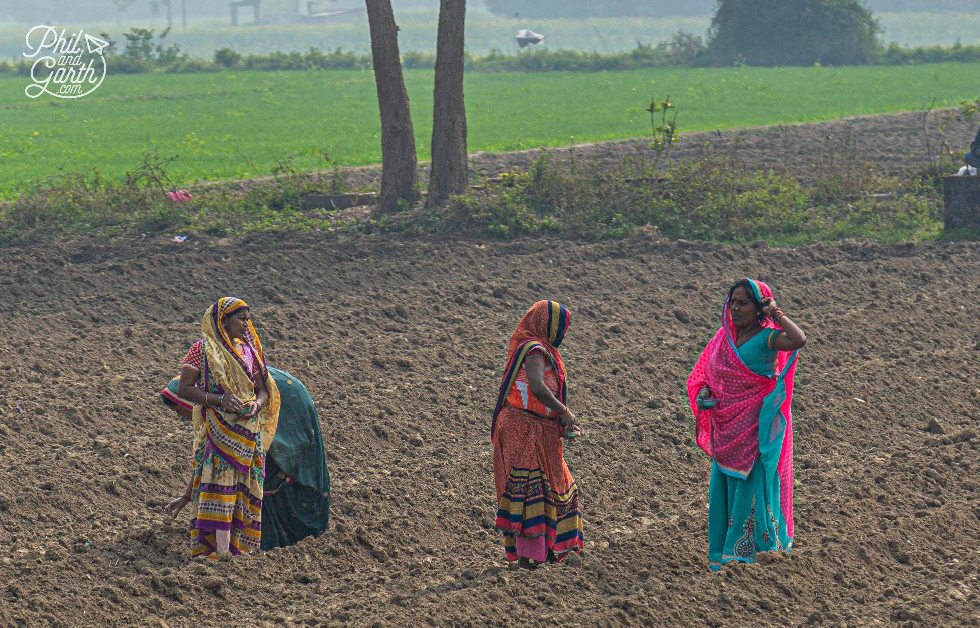 A group of ladies hard at work in the fields