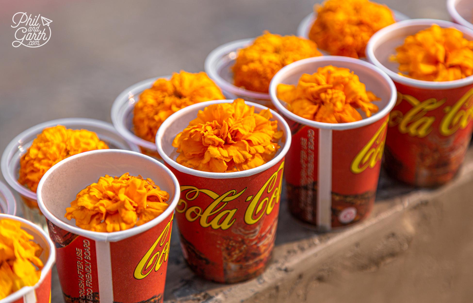 Offerings of marigold flowers surround the Dhamek Stupa