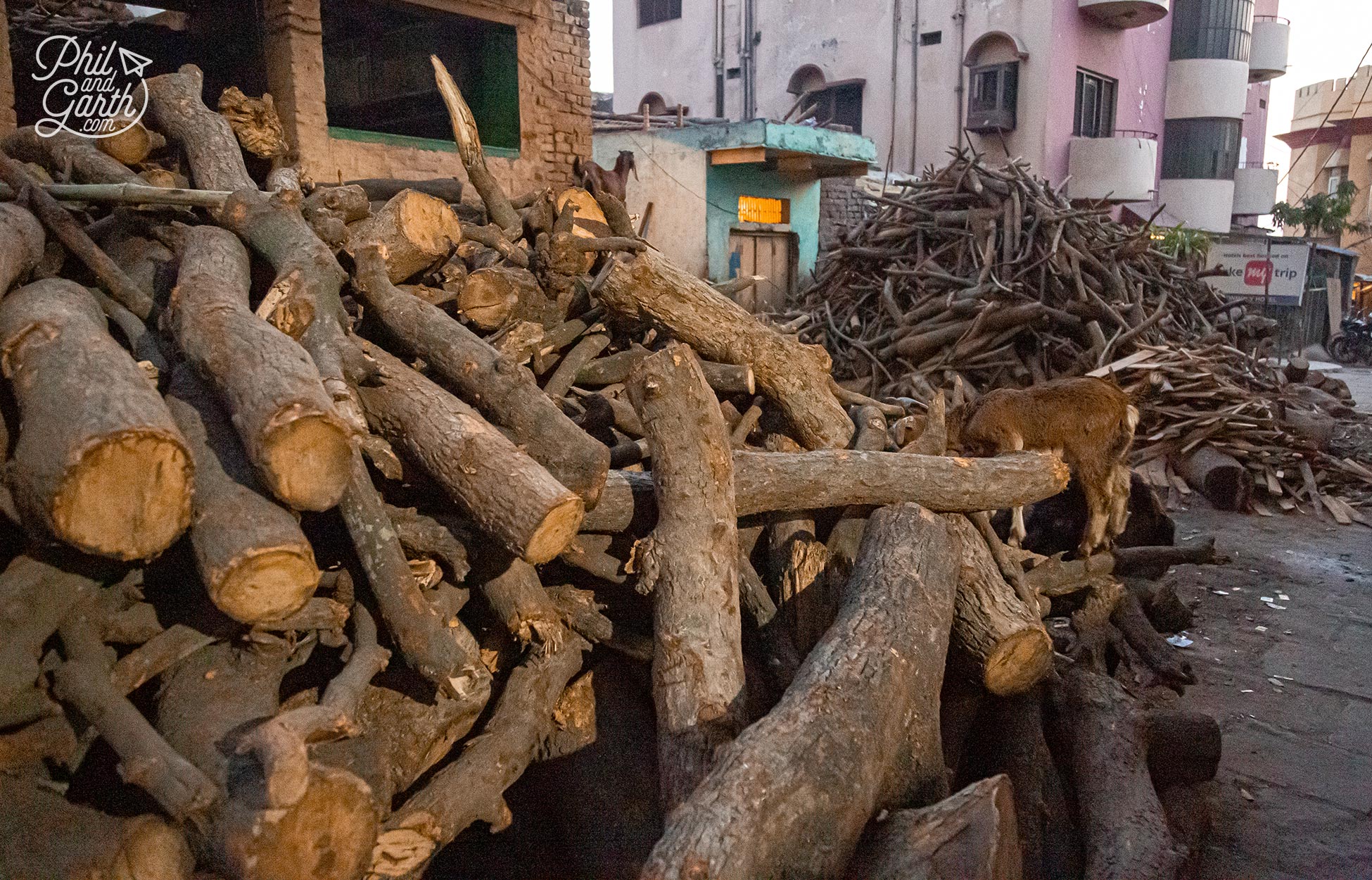 Piles of wood used for funeral pyres