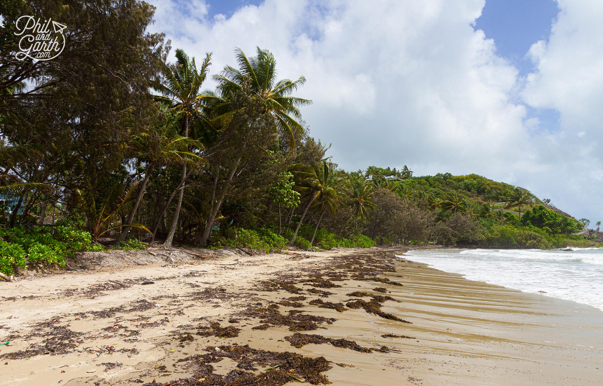 The lovely Four Mile Beach at Port Douglas