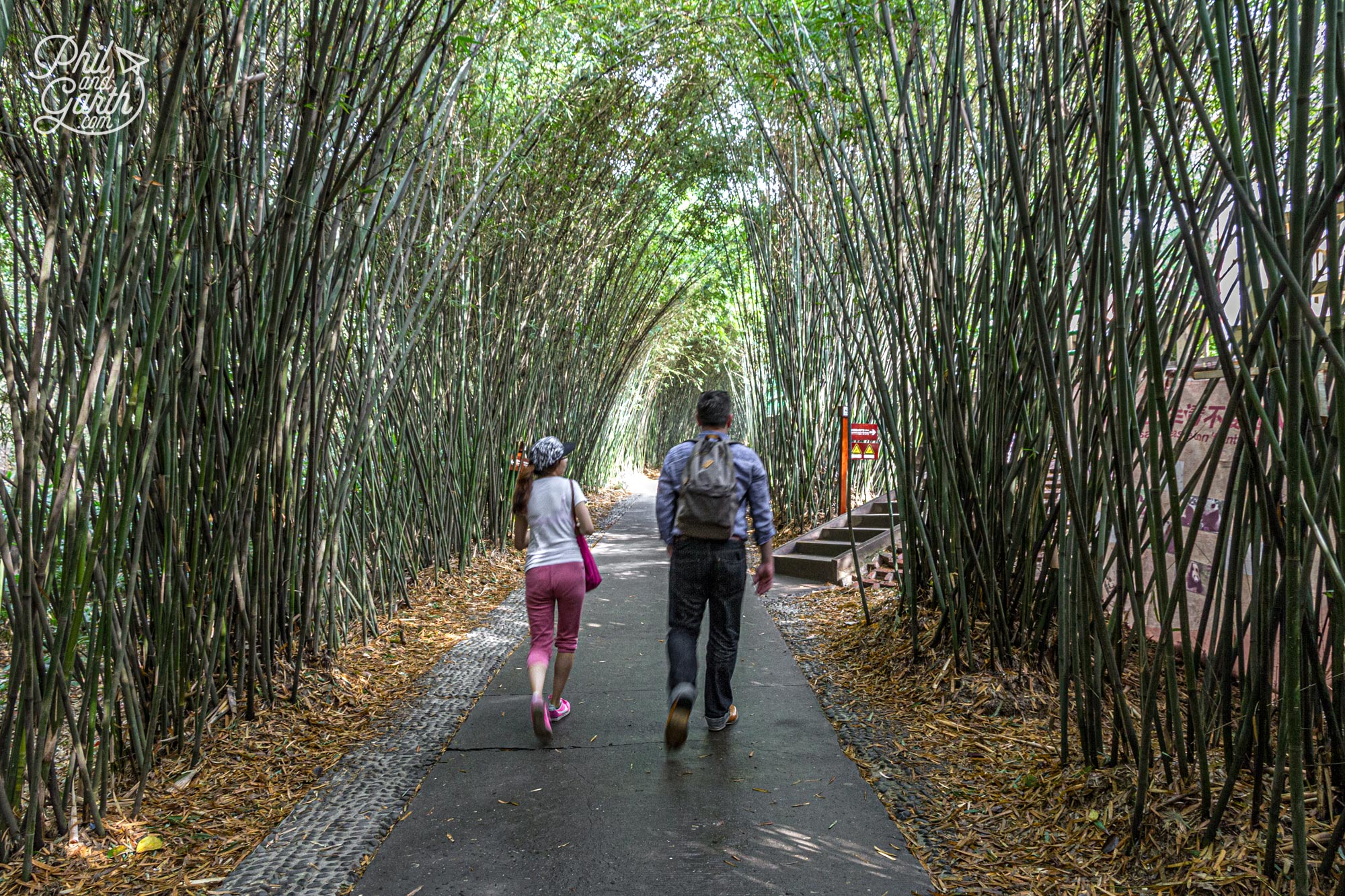 Cecilia and Phil walk down one of the gorgeous bamboo framed paths