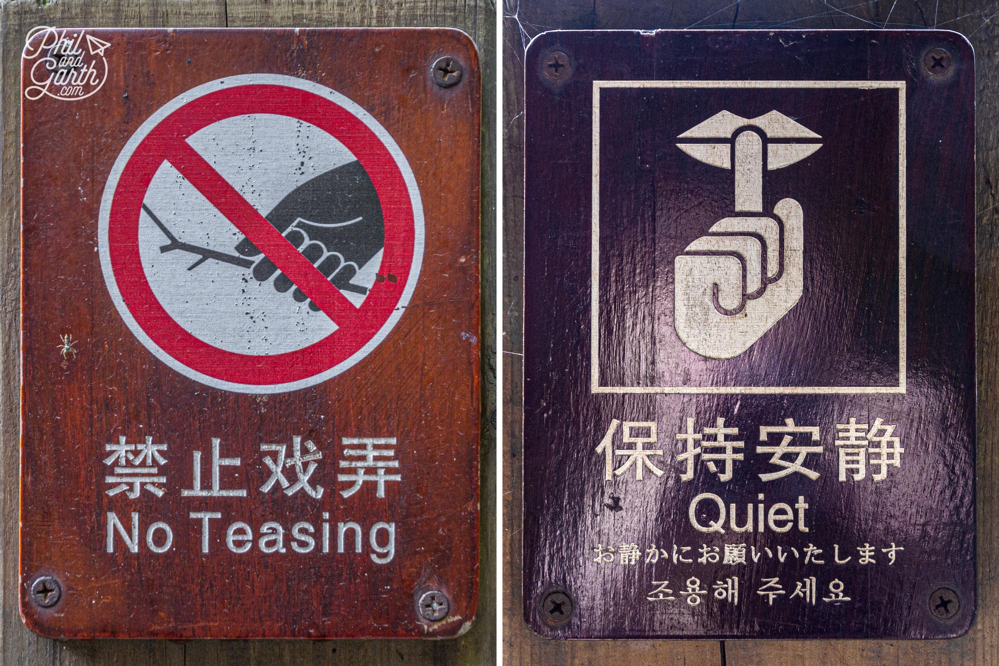 No teasing the pandas and be quiet when close