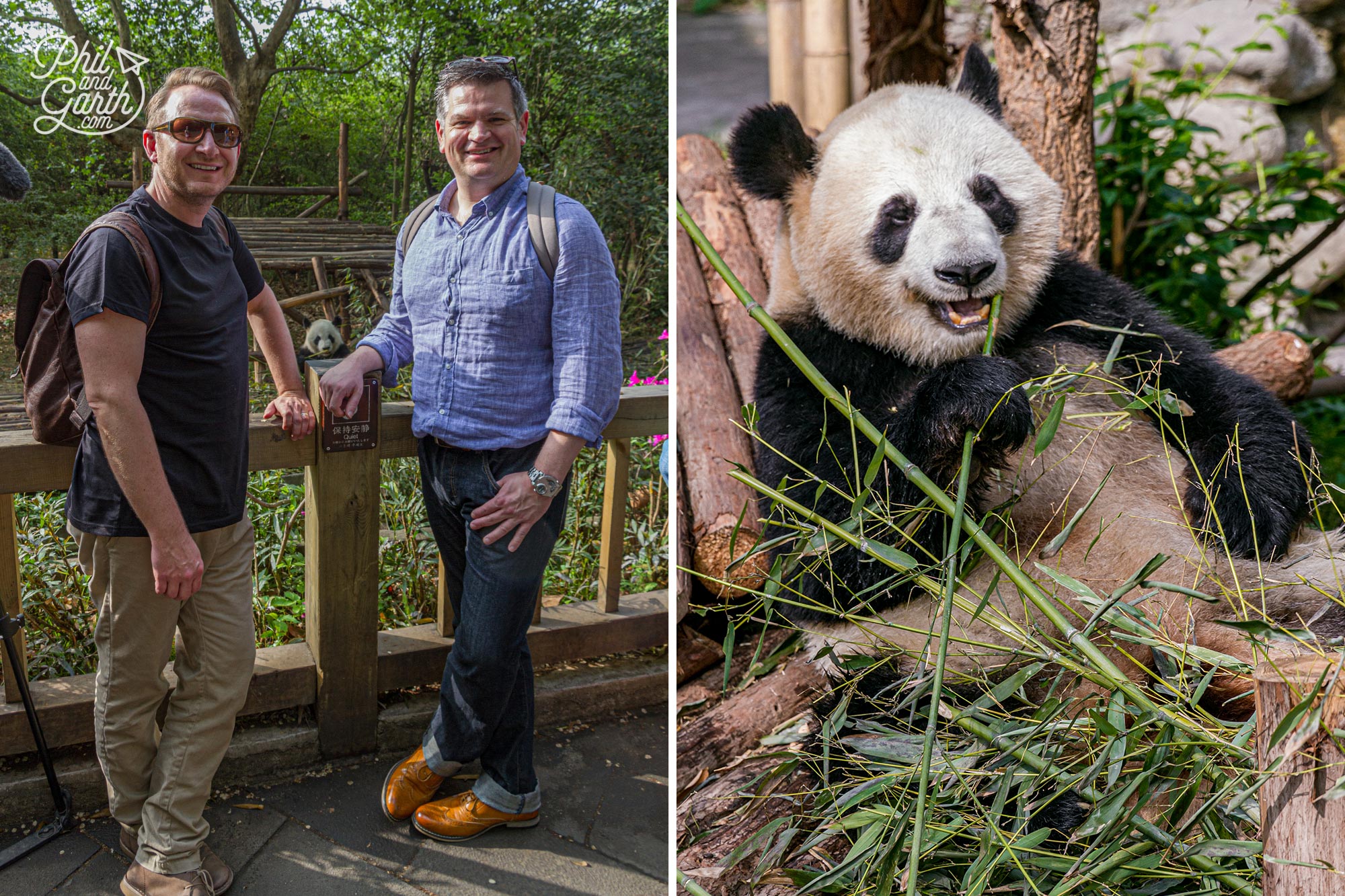 So happy to see giant pandas for the first time and in China!