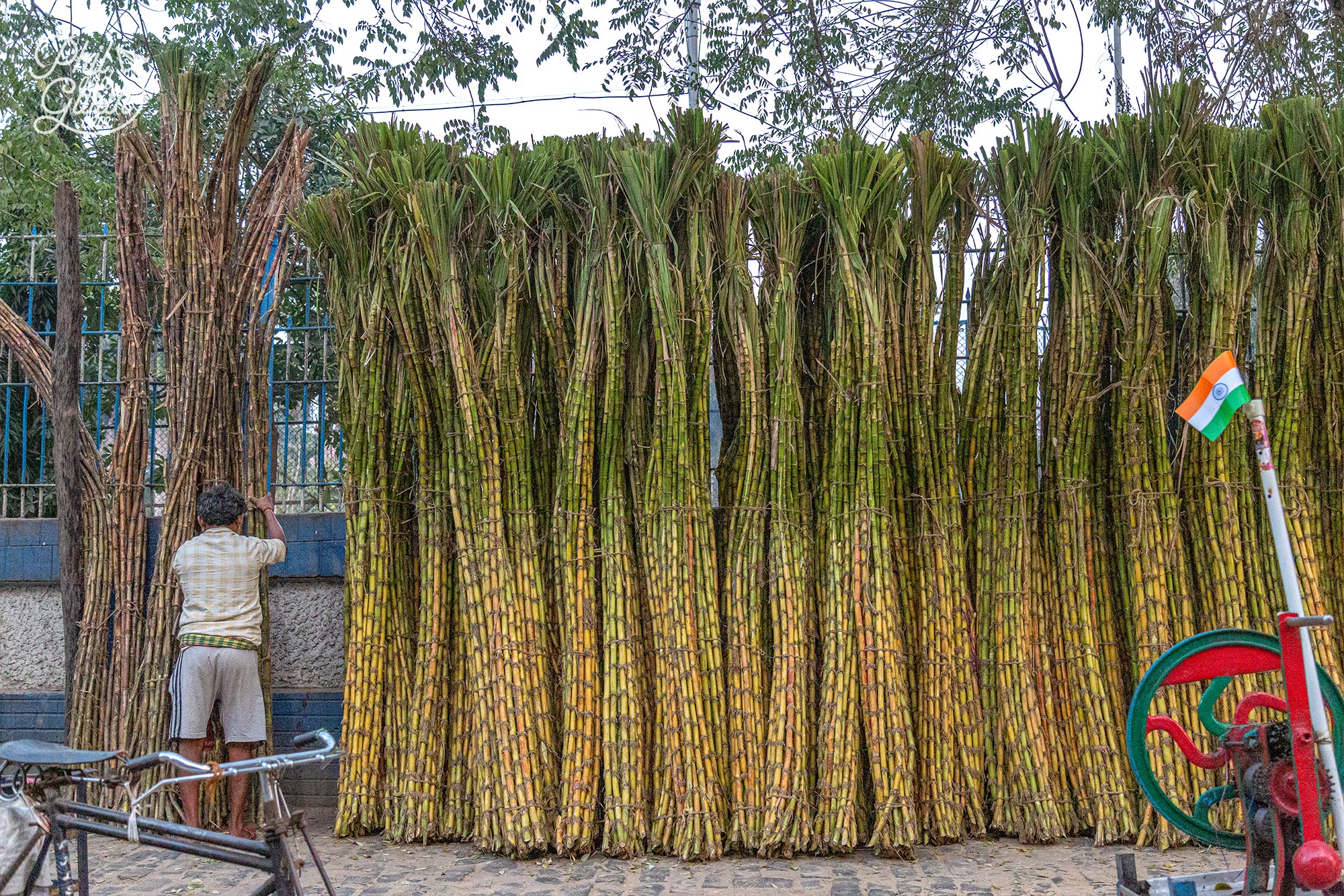 Stacks of sugar cane ready for juicing on a street next to College Street