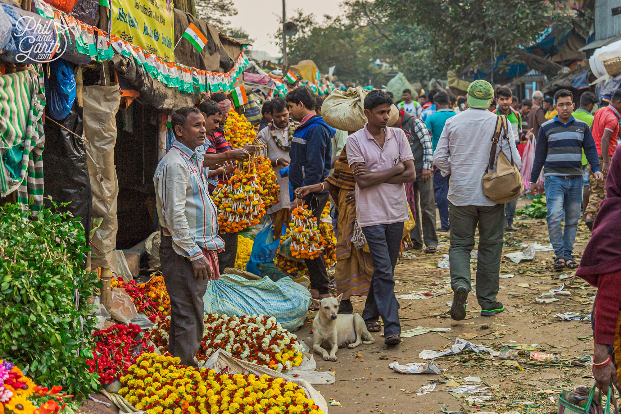 We thought the Mullik Ghat Flower Market is an amazing place to walk through. However it could be an overwhelming place for some.
