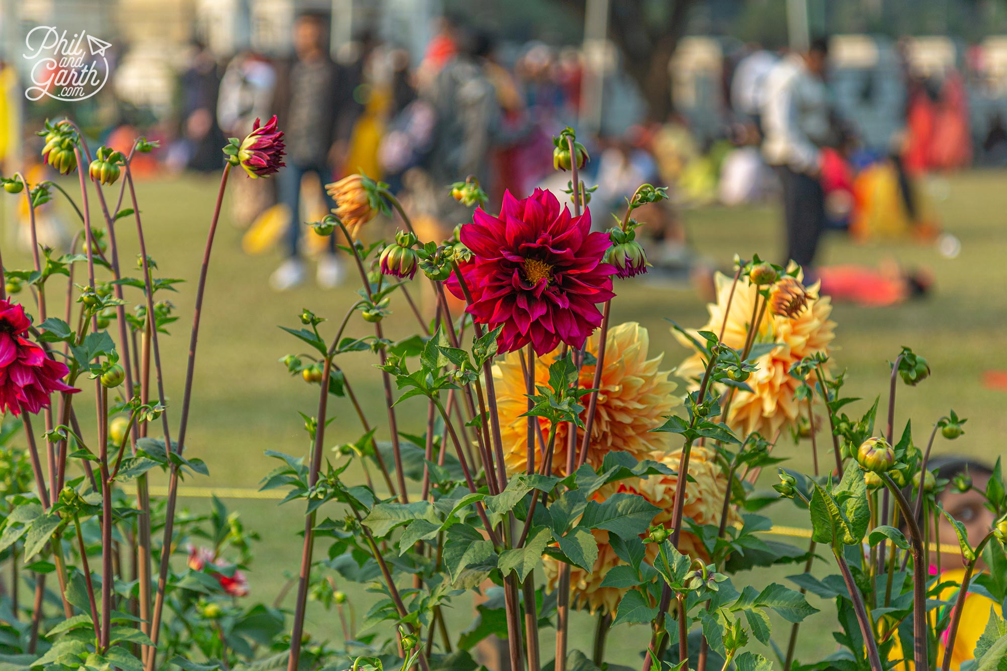 The gardens are stunning spread out over 64 acres with fountains, lakes and hundreds of flowers