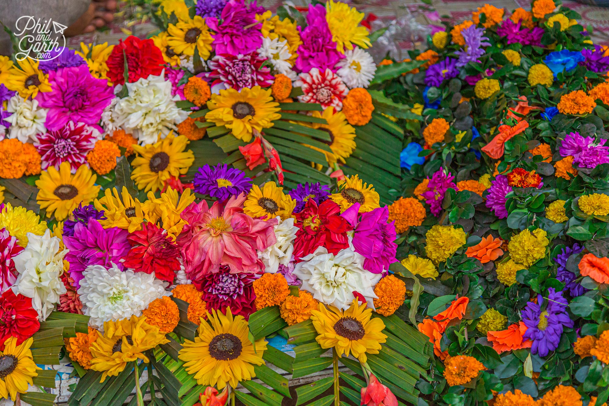 So many hugely colourful displays of flowers for sale