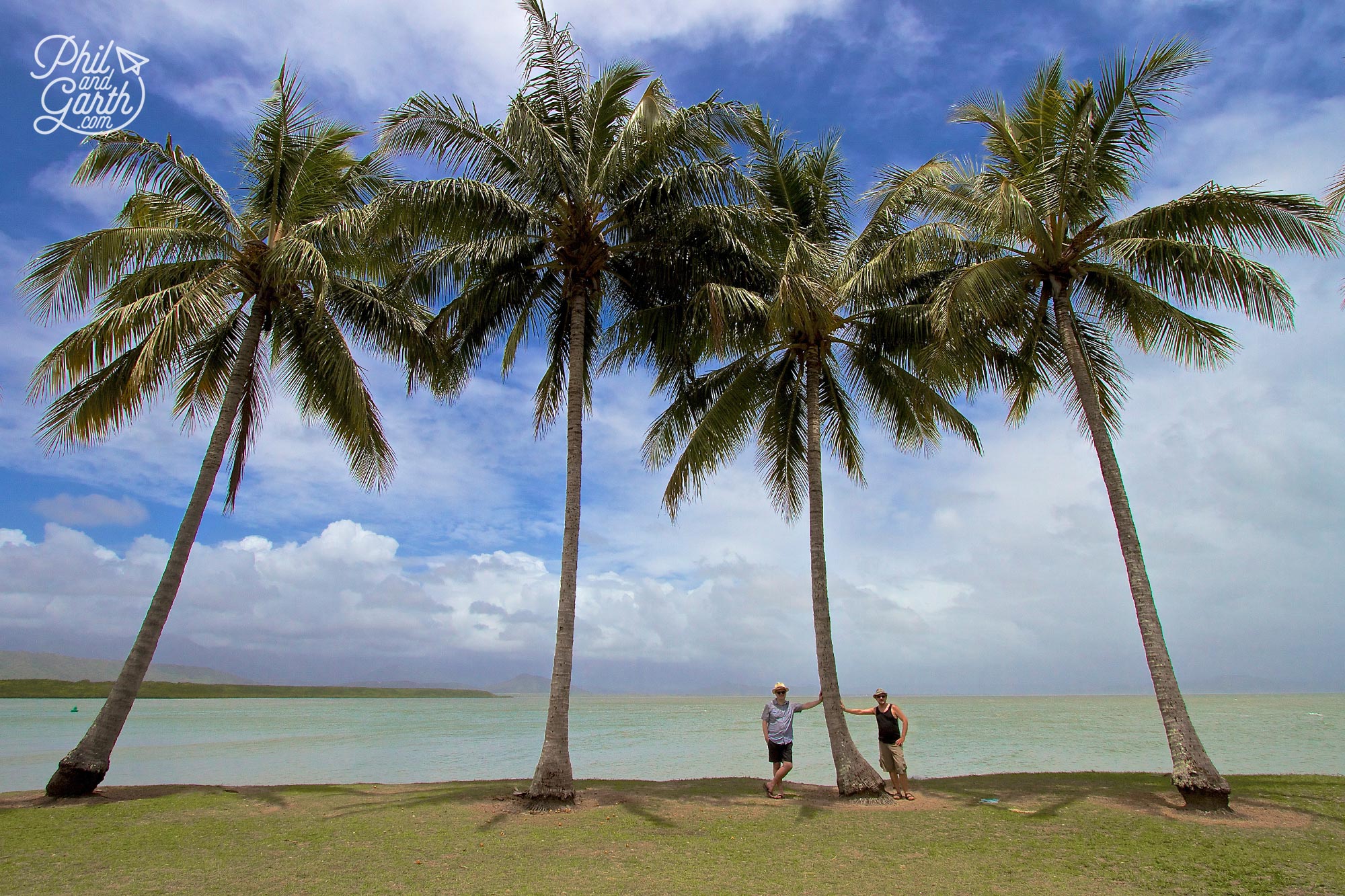 Here we are under the dreamy palm trees of Rex Smeal Park