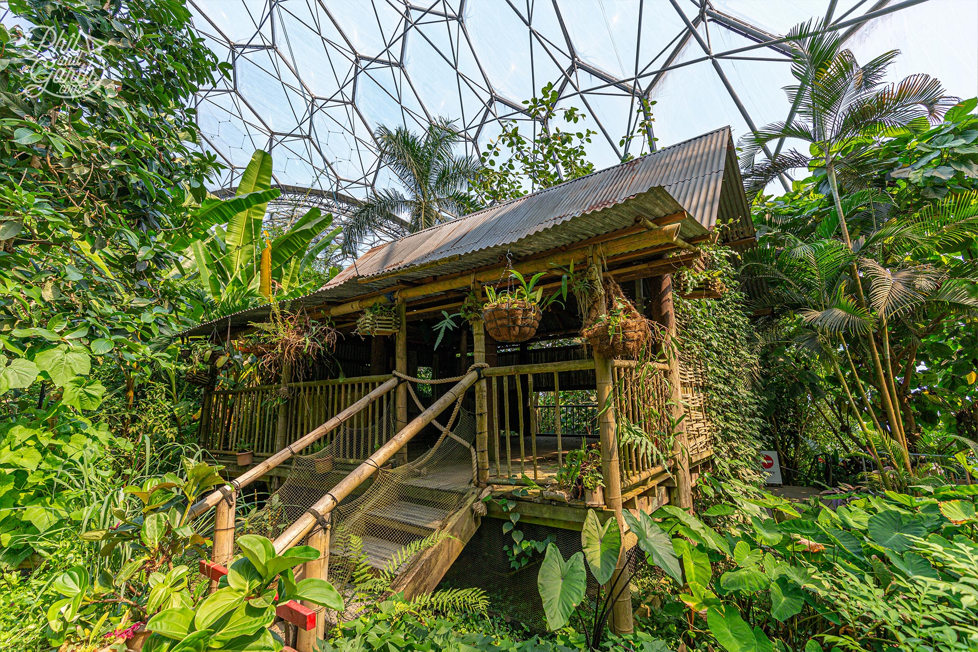 A Malaysian house in the centre of the rainforest biome