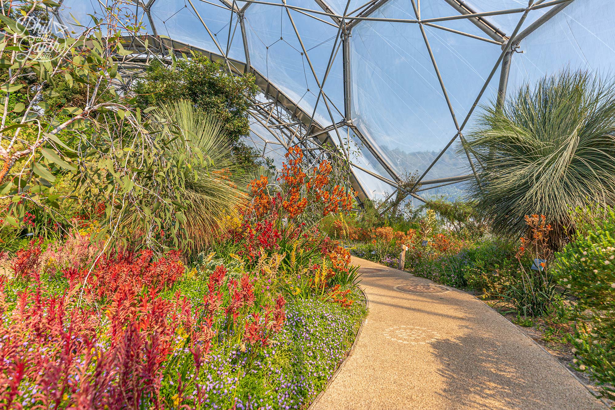 Another view of the Western Australia Garden